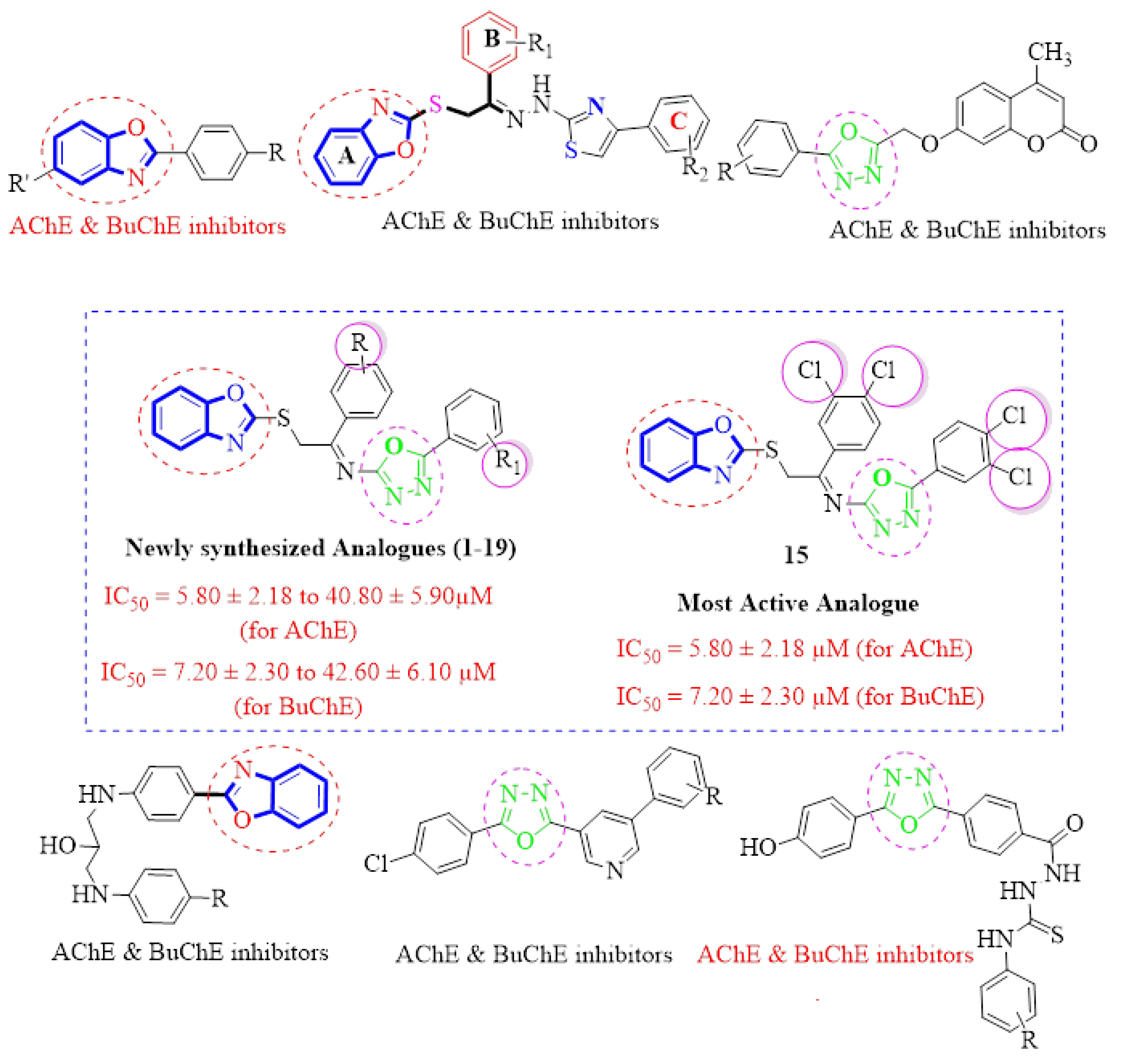 Pharmaceuticals 16 00909 g004