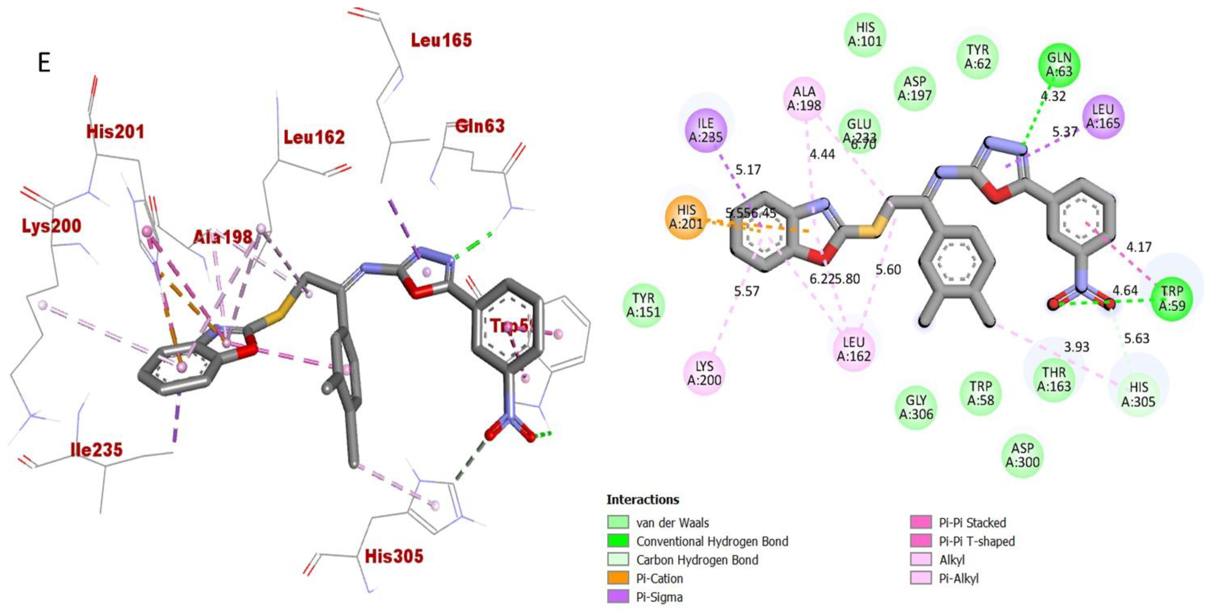 Pharmaceuticals 16 00909 g013