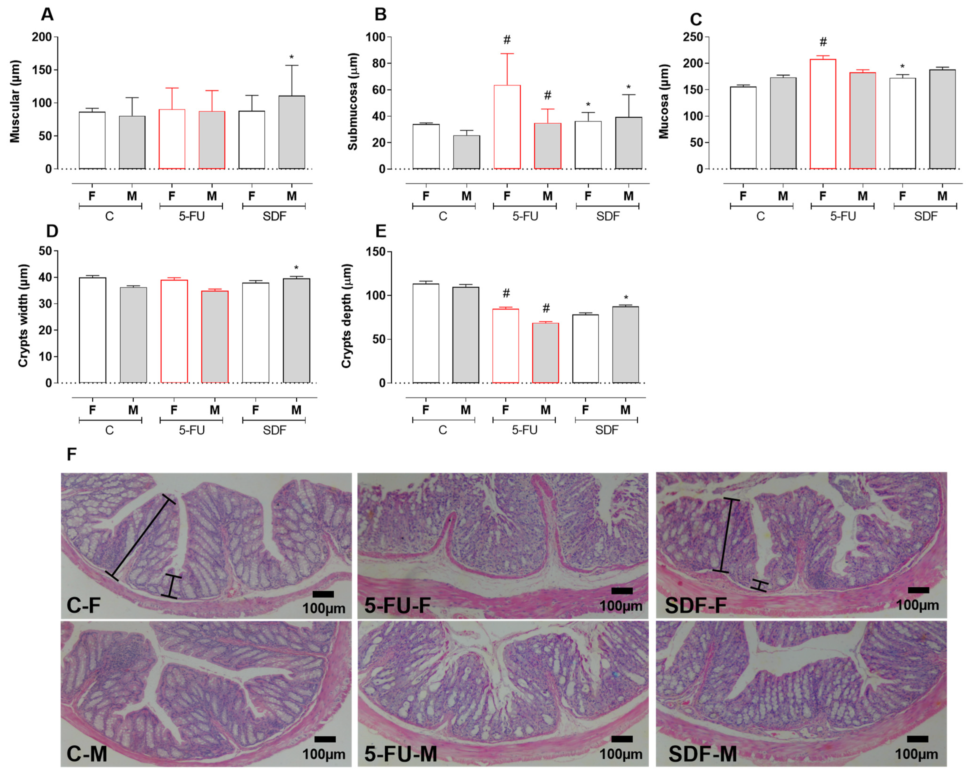Pharmaceuticals 16 00912 g010