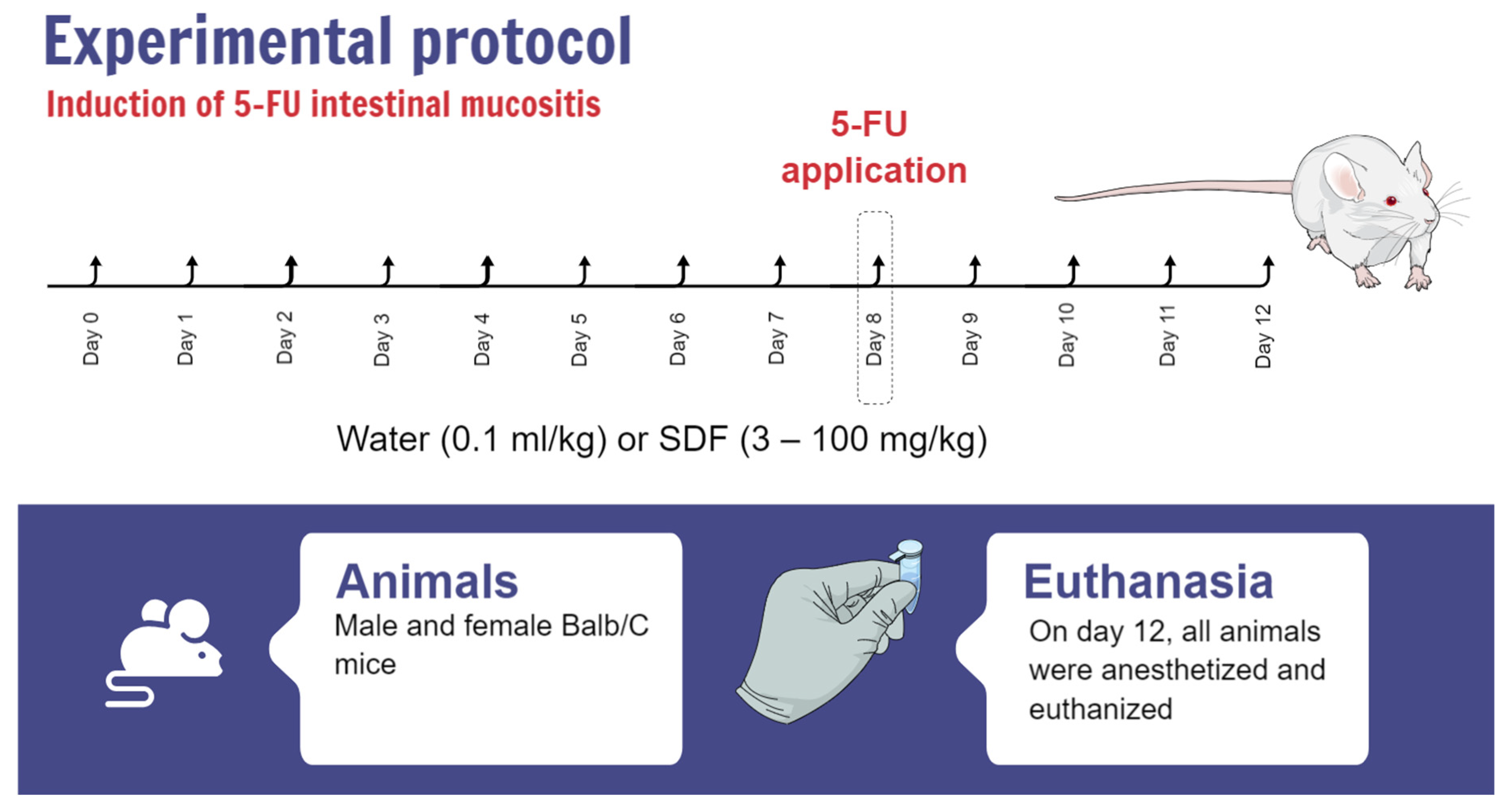 Pharmaceuticals 16 00912 g012