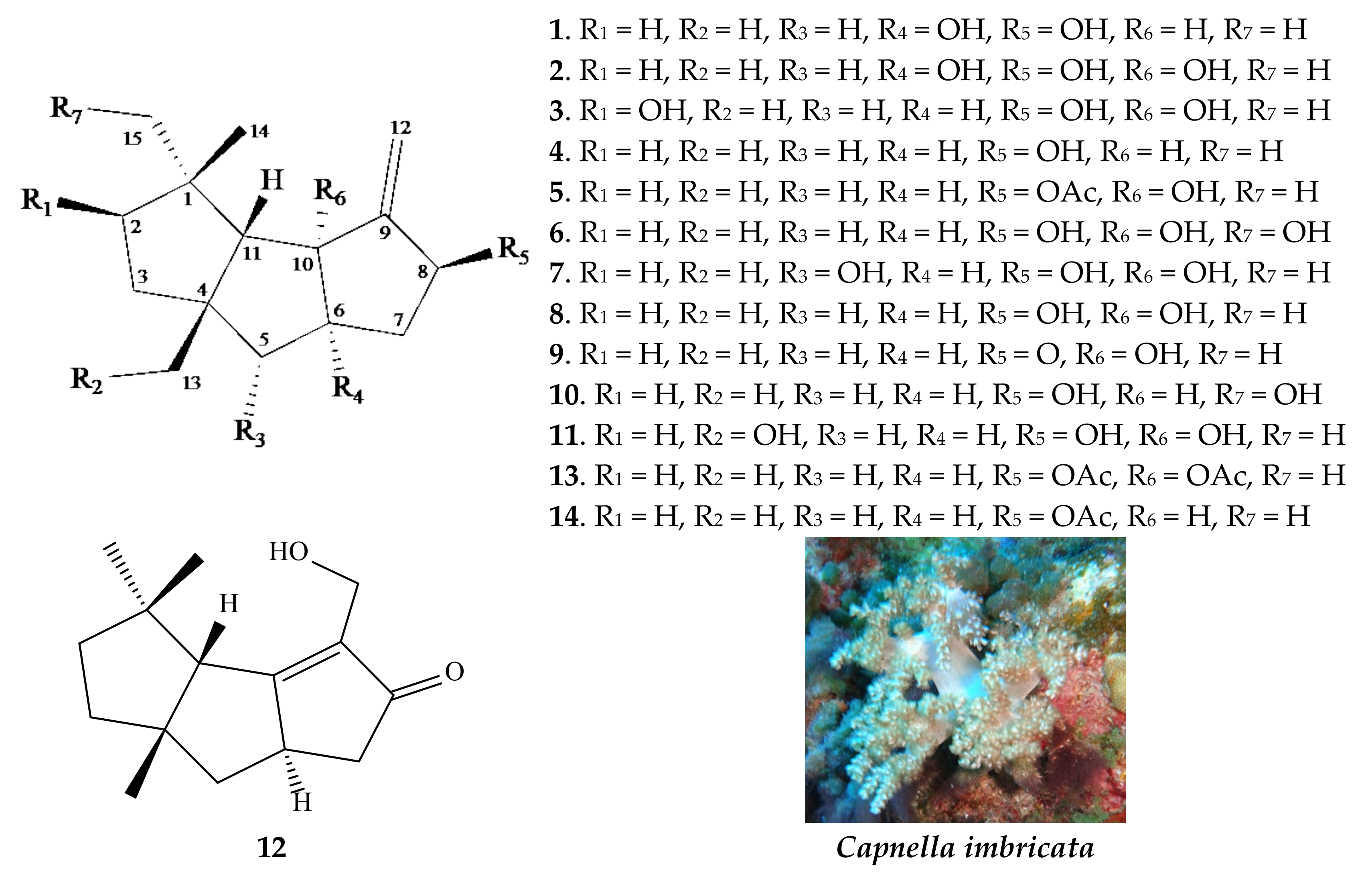 Pharmaceuticals 16 00916 g001 Pharmaceuticals 16 00916 g001