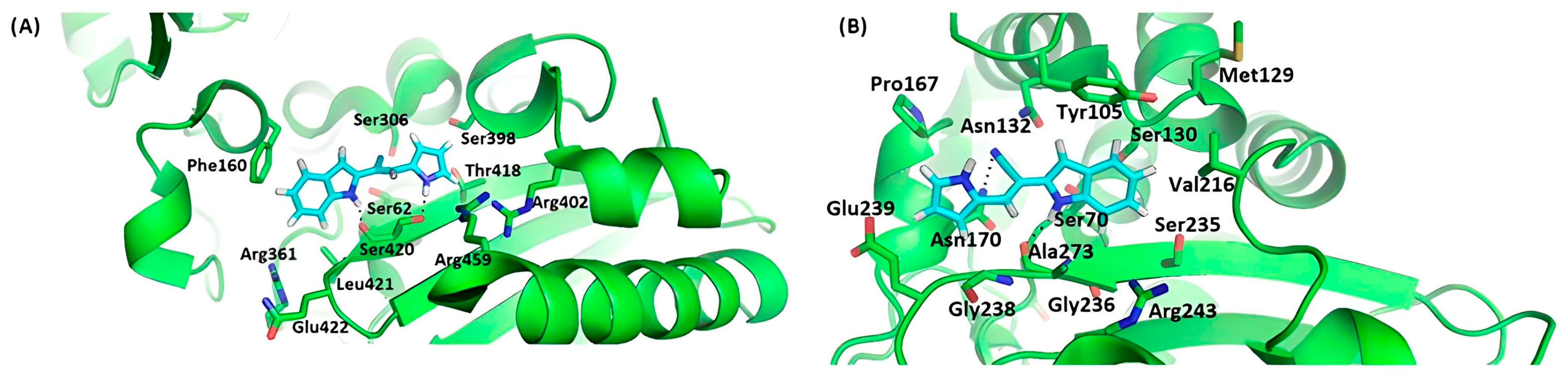 Pharmaceuticals 16 00918 g005