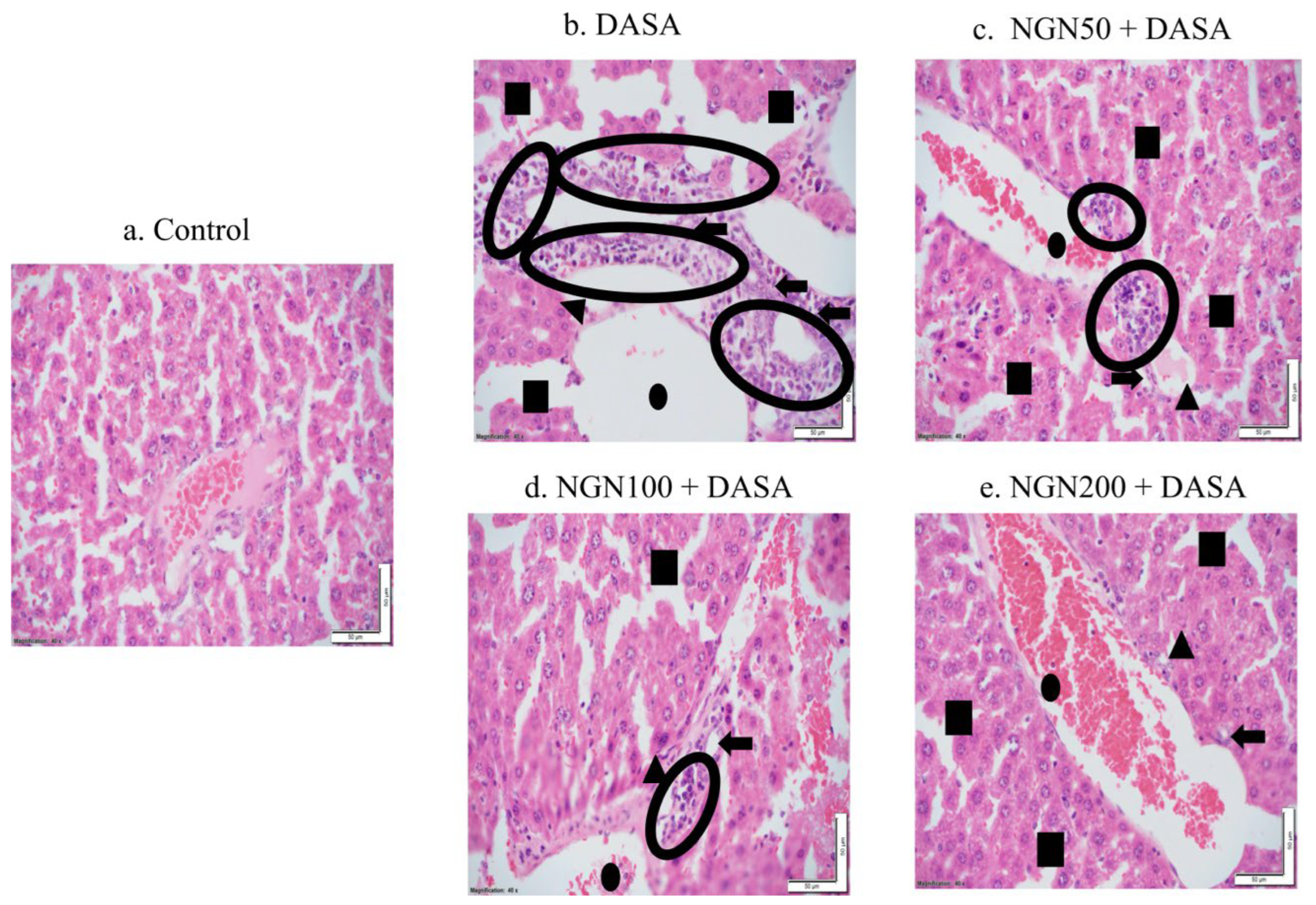 Pharmaceuticals 16 00921 g004