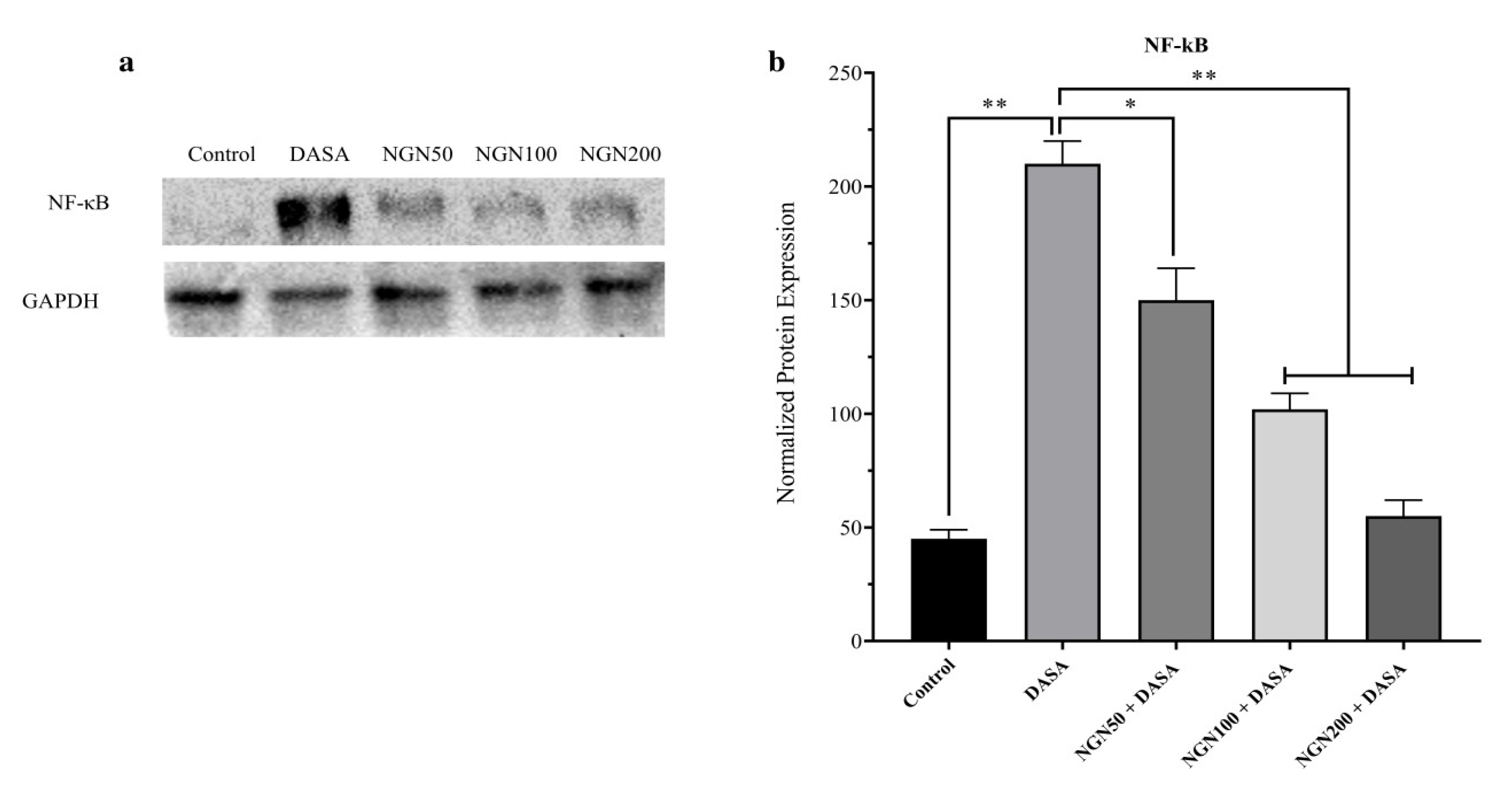 Pharmaceuticals 16 00921 g008