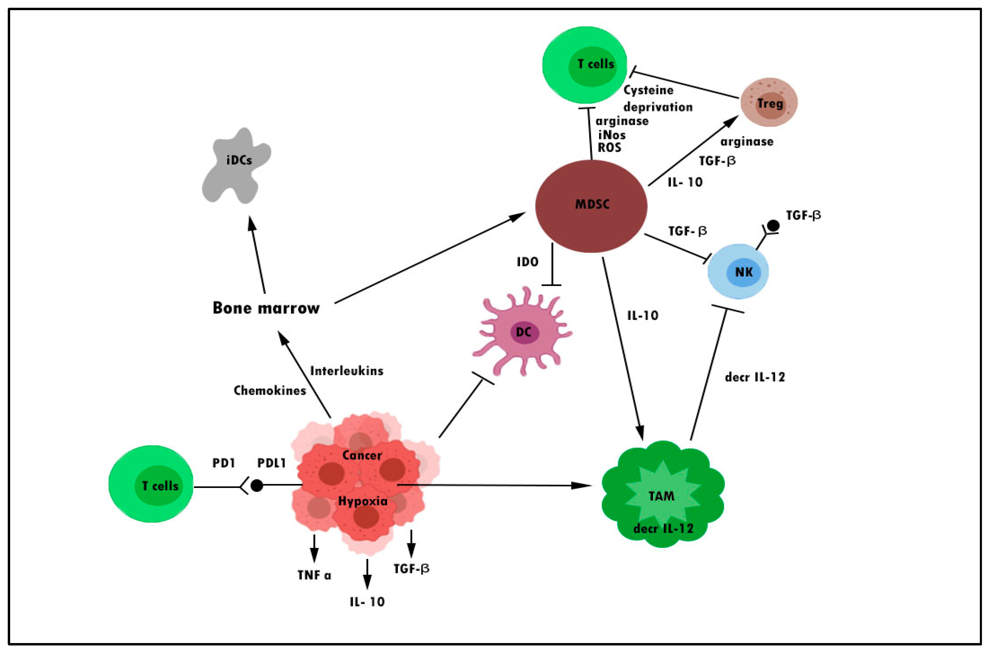 Pharmaceuticals 16 00923 g001