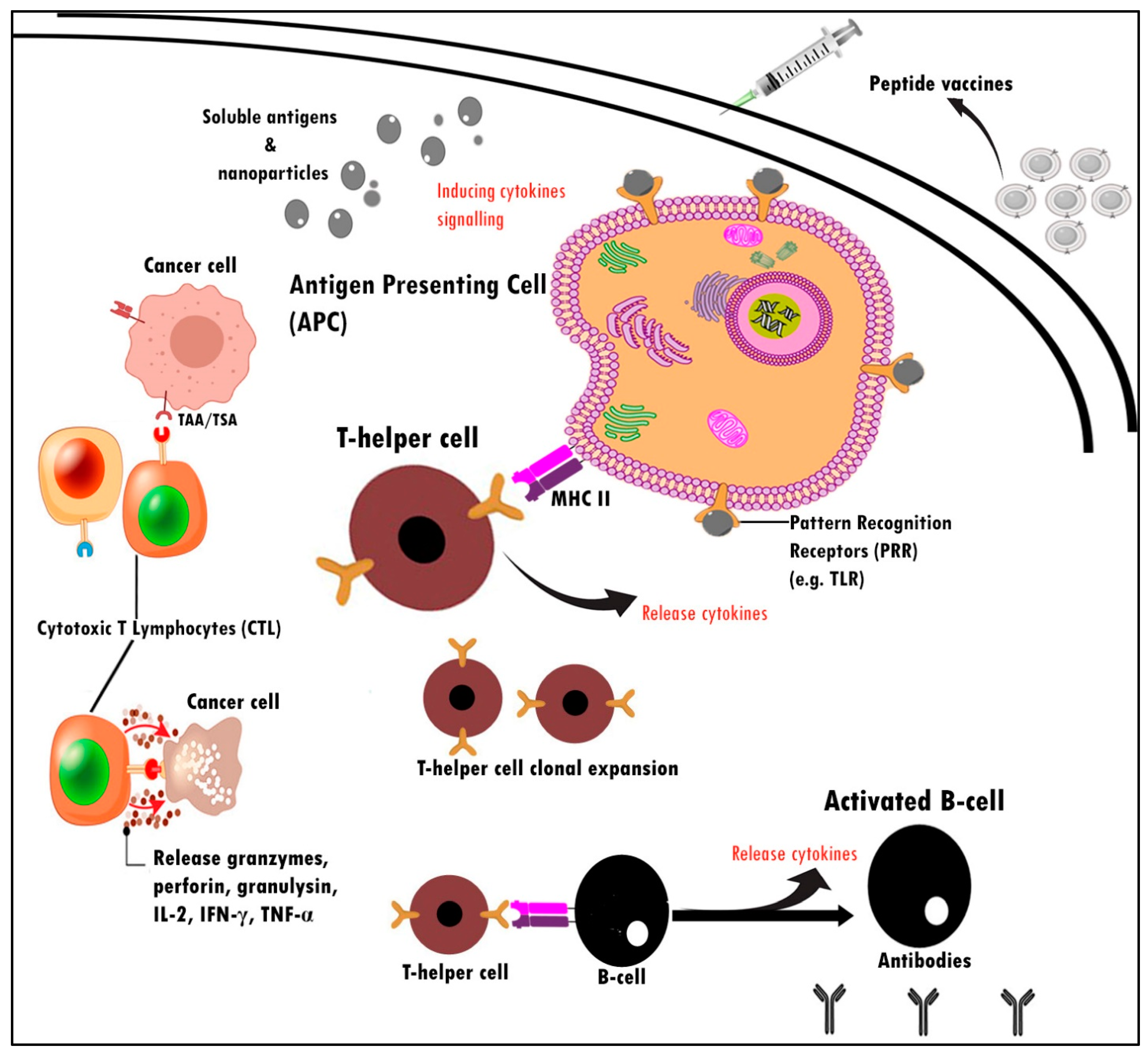 Pharmaceuticals 16 00923 g002