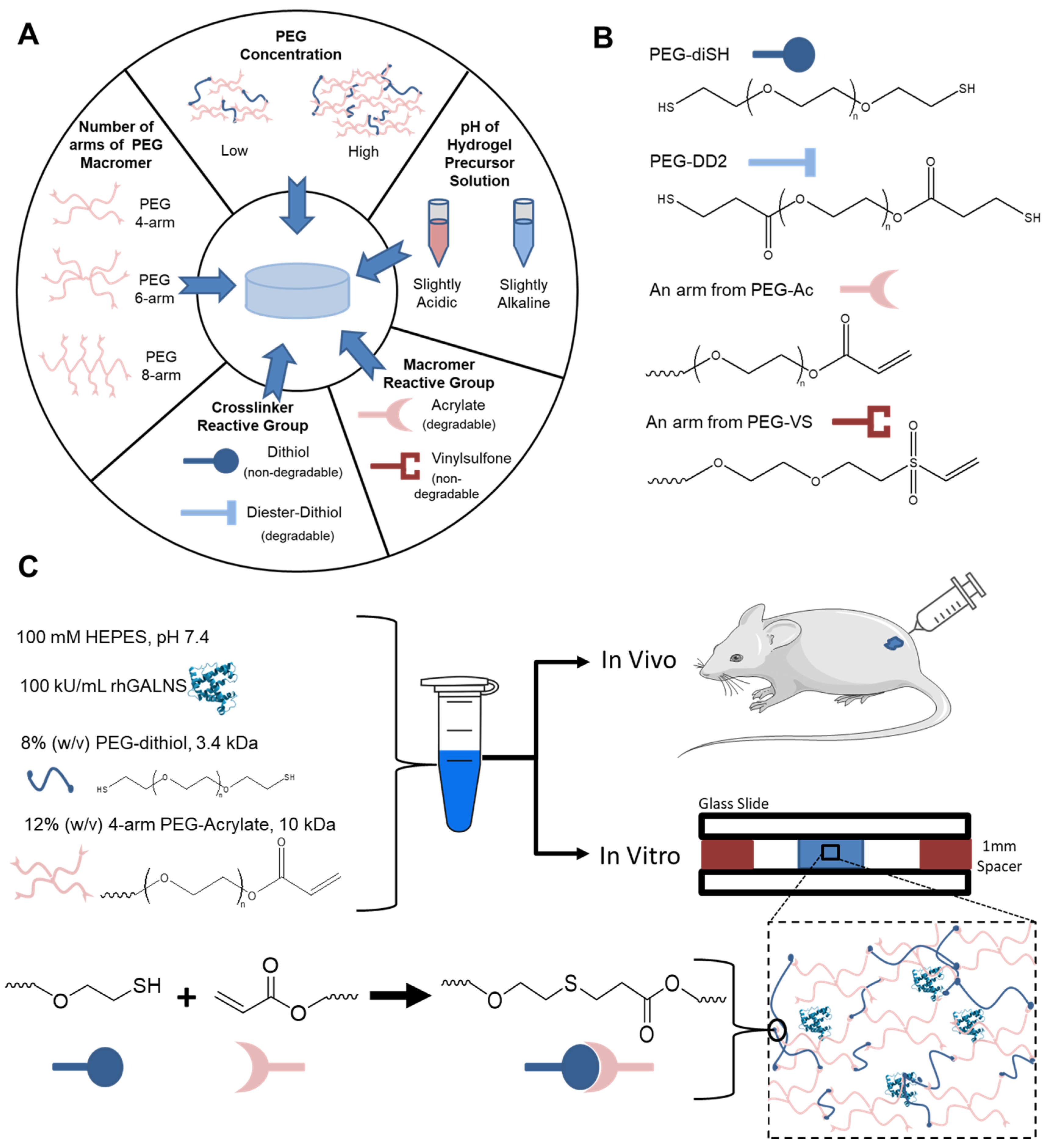 Pharmaceuticals 16 00931 g001 Pharmaceuticals 16 00931 g001