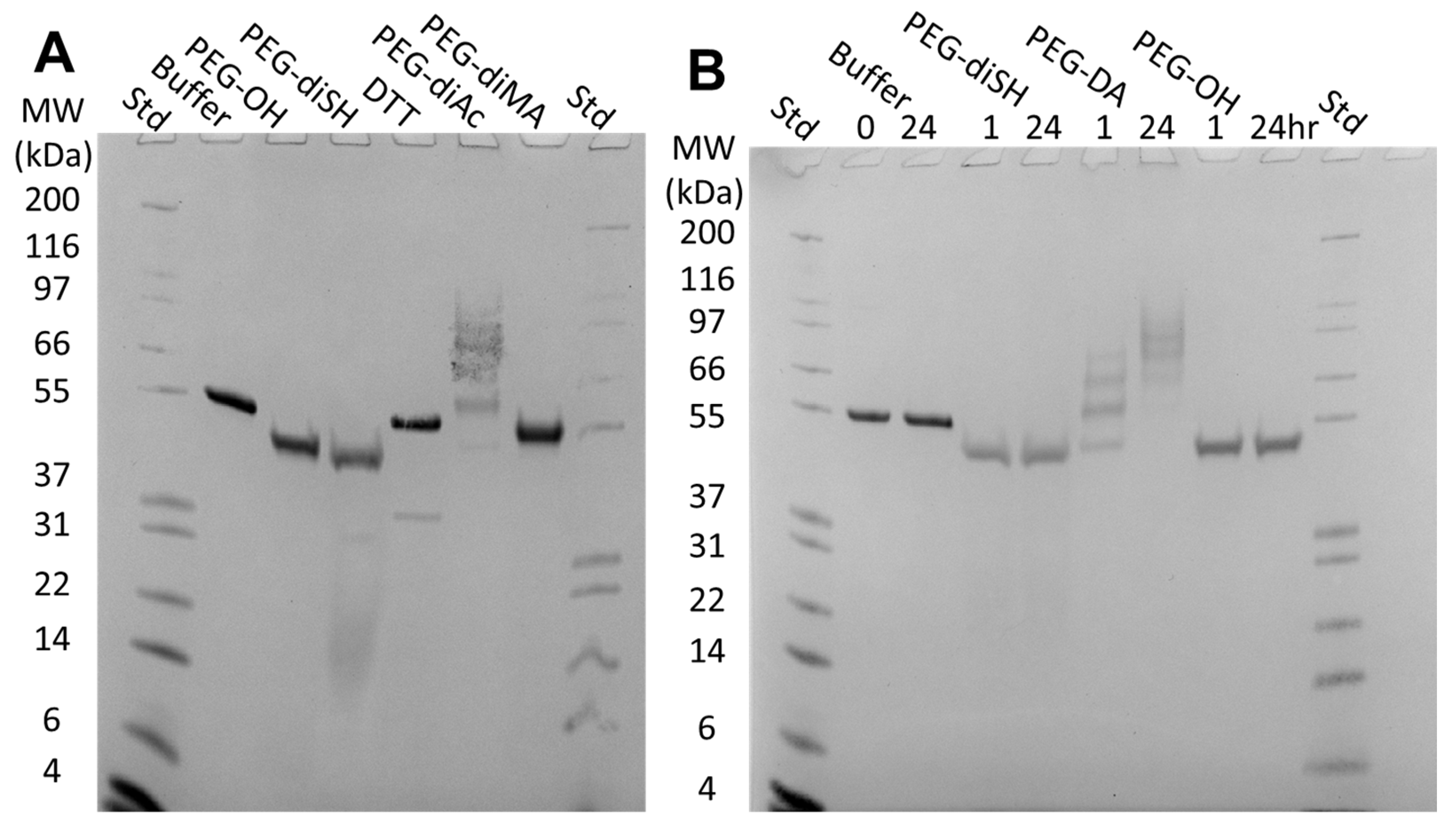 Pharmaceuticals 16 00931 g006 Pharmaceuticals 16 00931 g006