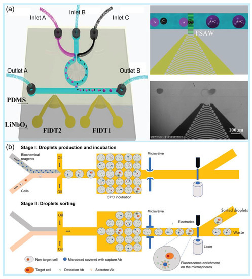 Pharmaceuticals 16 00937 g002