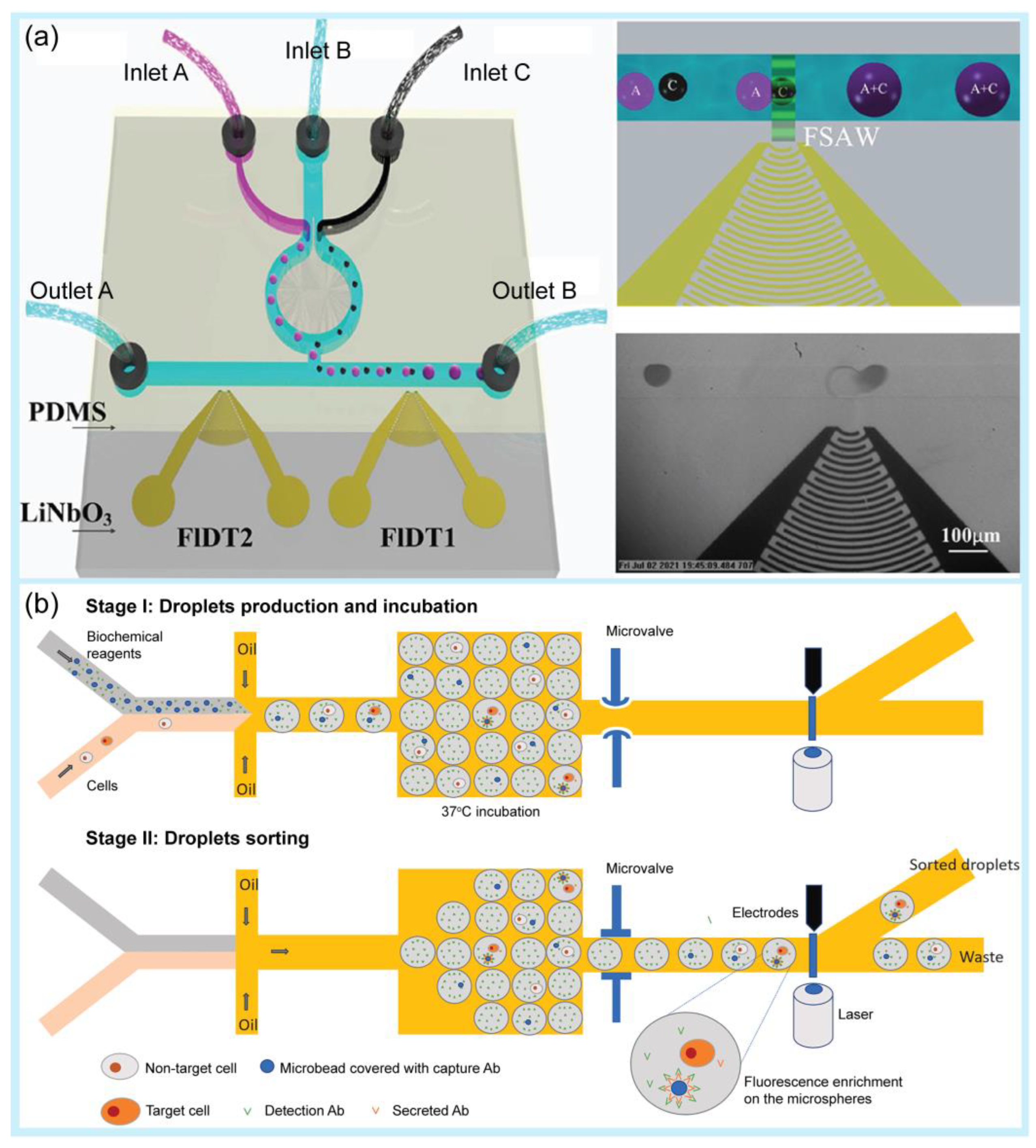 Pharmaceuticals 16 00937 g002