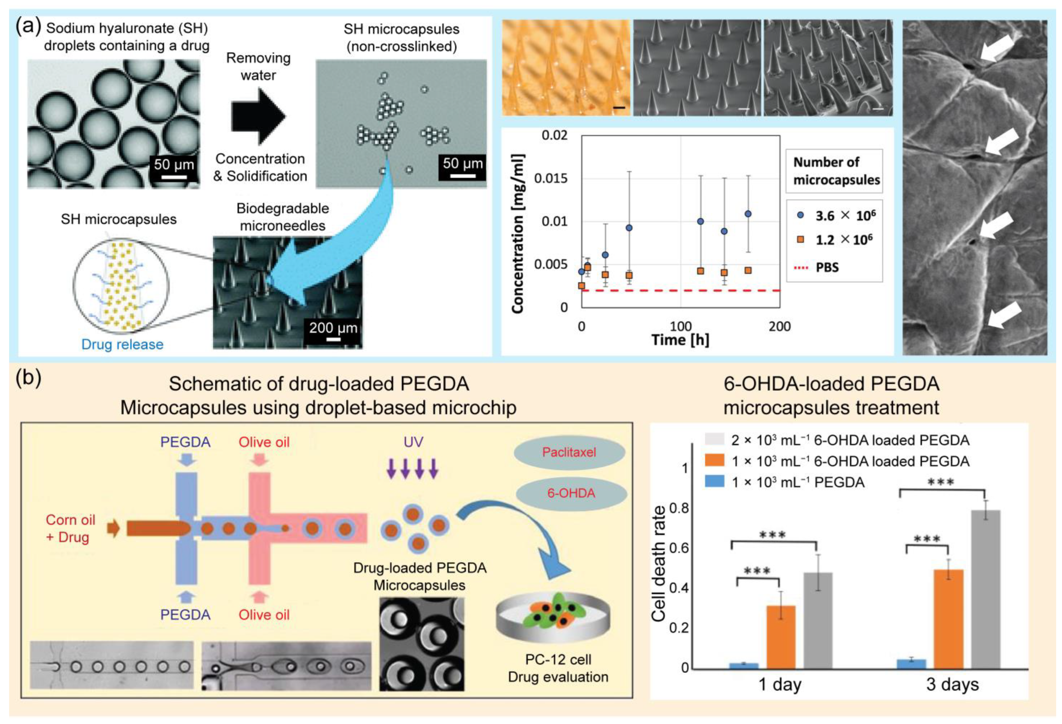 Pharmaceuticals 16 00937 g007