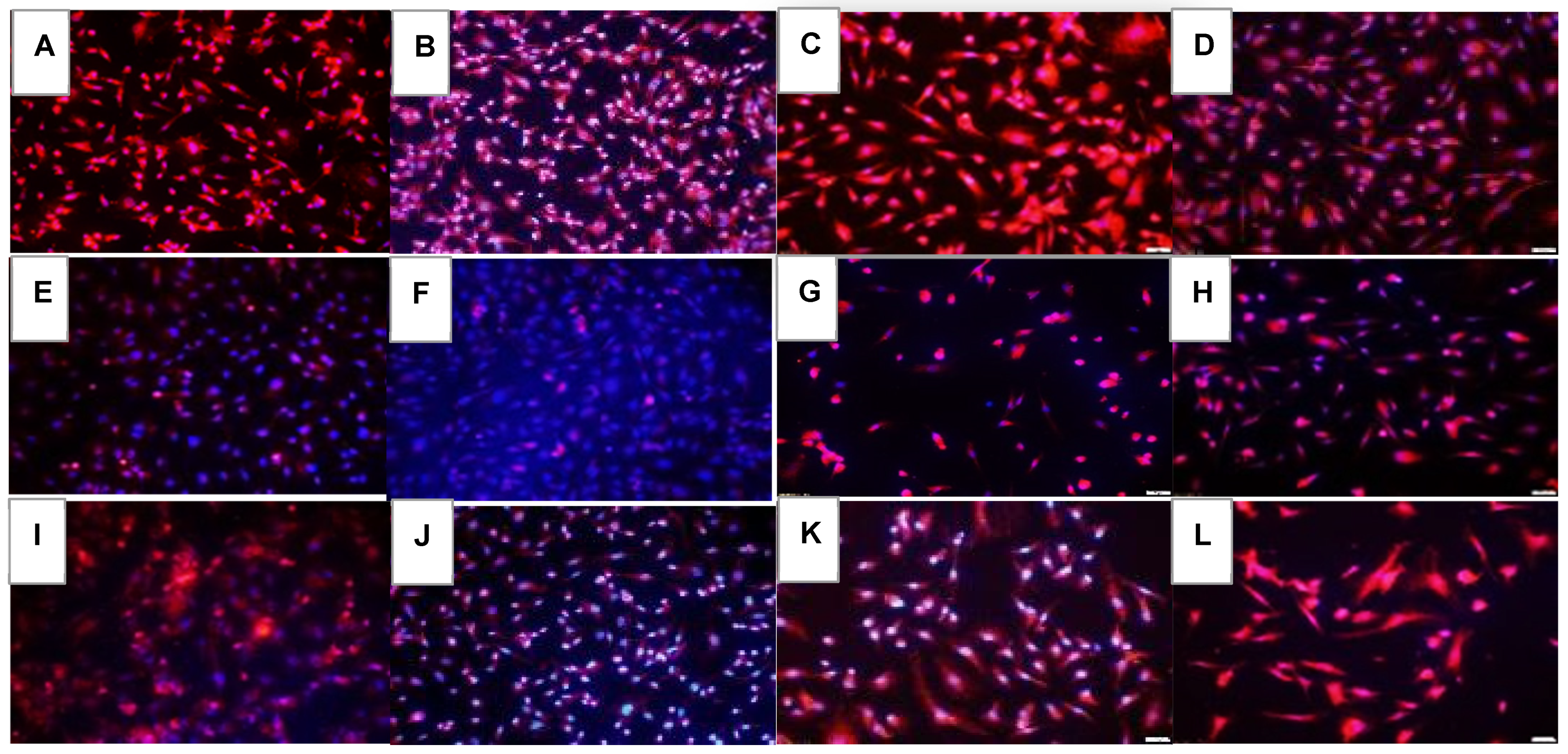 Pharmaceuticals 16 00939 g007 Pharmaceuticals 16 00939 g007