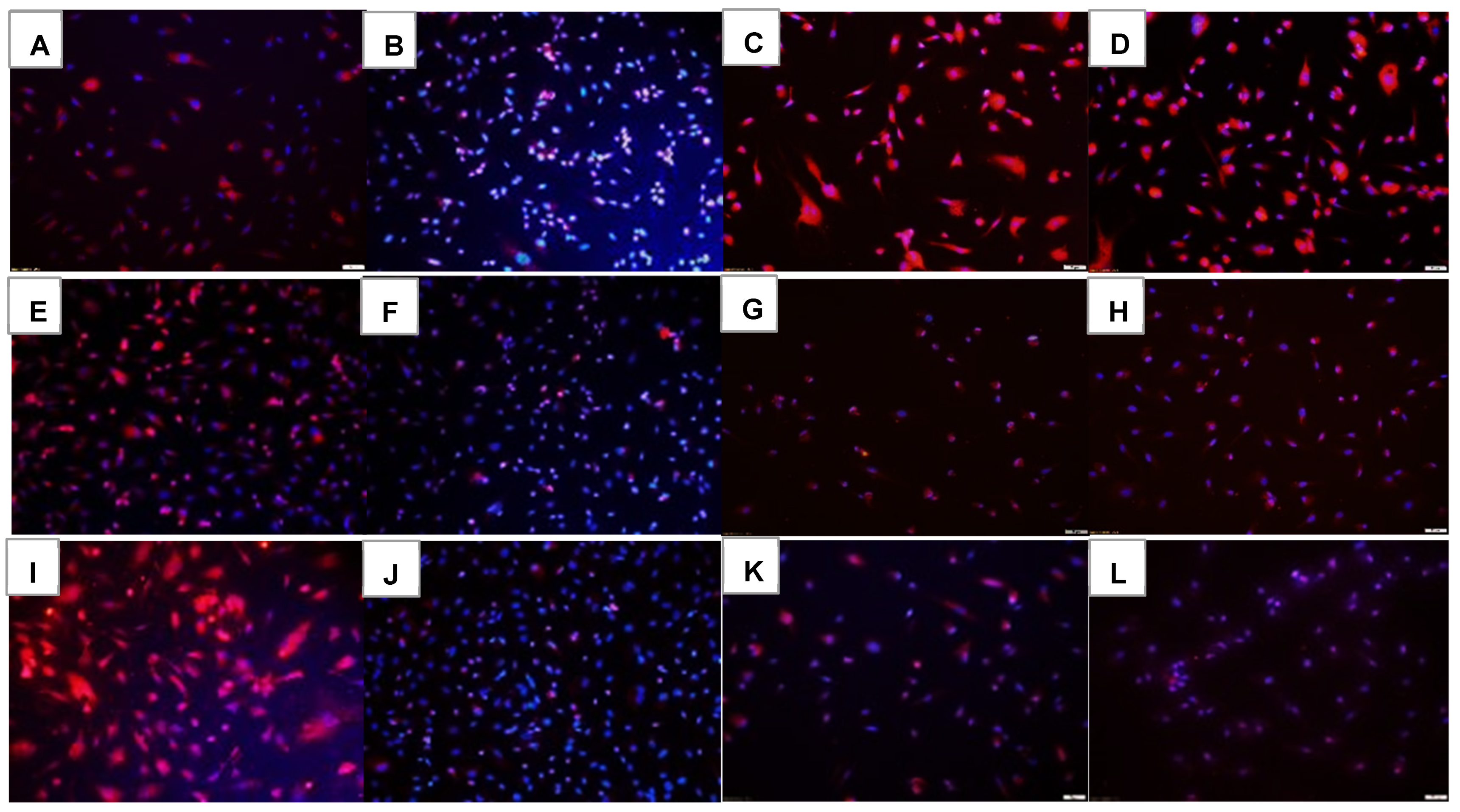 Pharmaceuticals 16 00939 g008 Pharmaceuticals 16 00939 g008