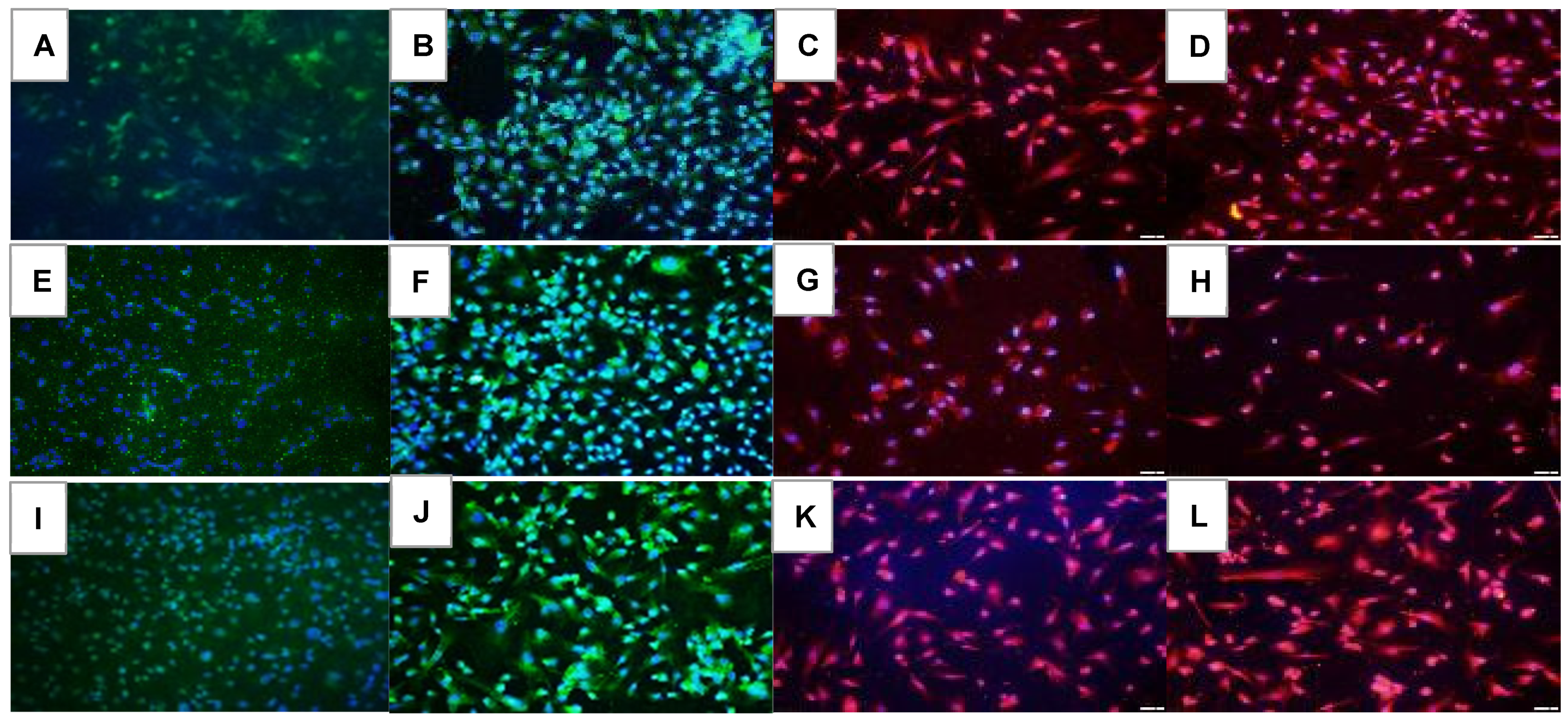 Pharmaceuticals 16 00939 g010 Pharmaceuticals 16 00939 g010