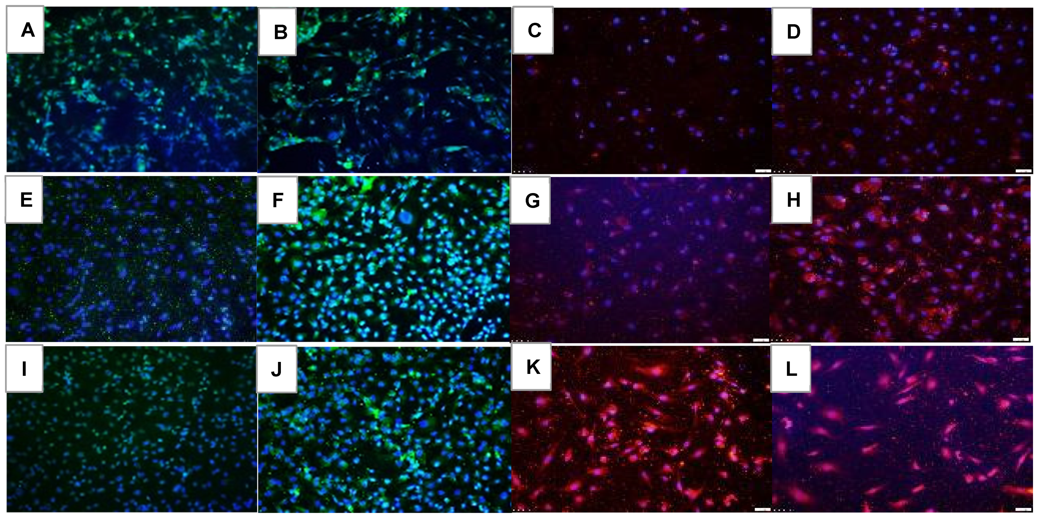 Pharmaceuticals 16 00939 g011 Pharmaceuticals 16 00939 g011