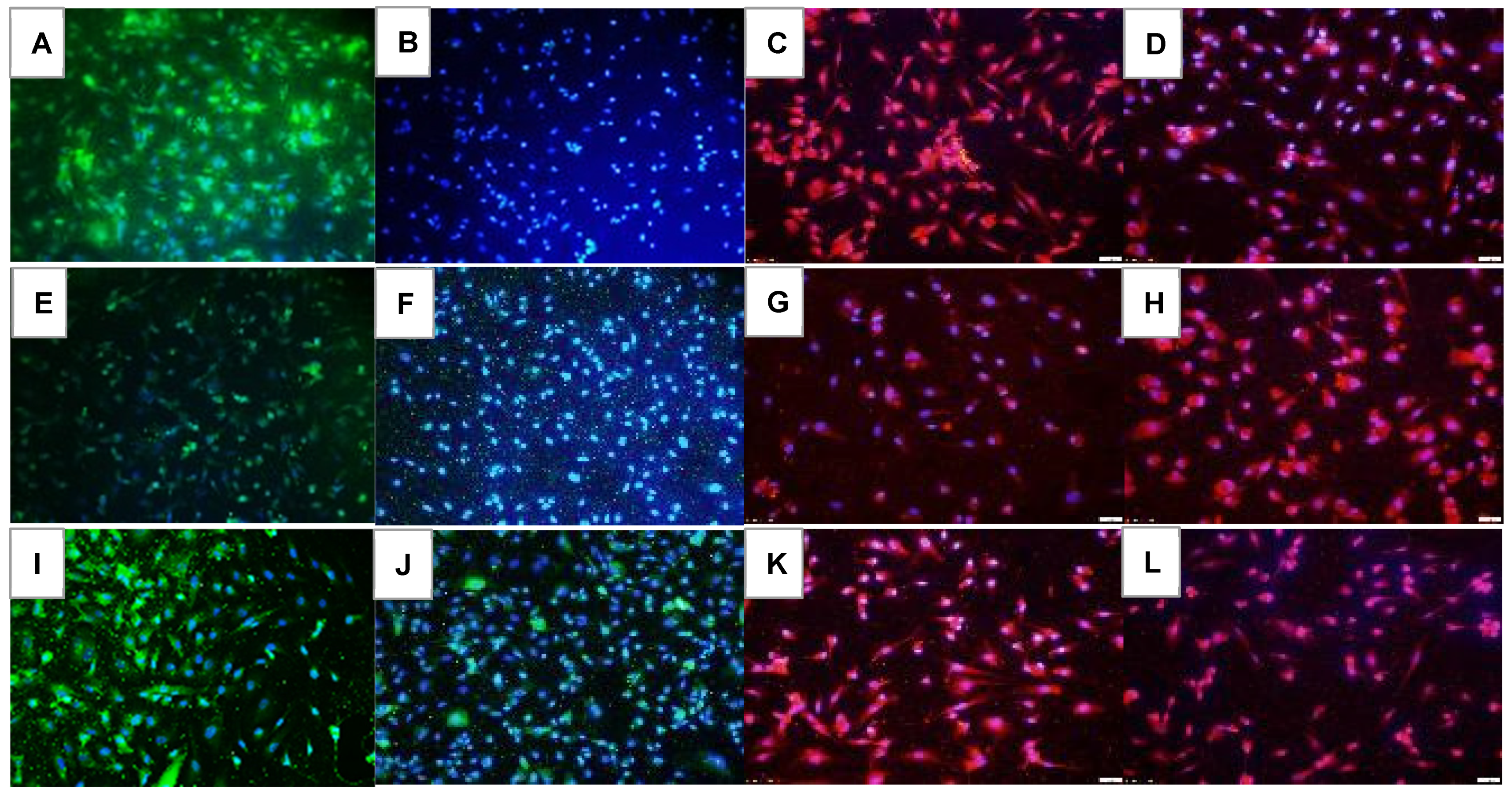 Pharmaceuticals 16 00939 g012 Pharmaceuticals 16 00939 g012