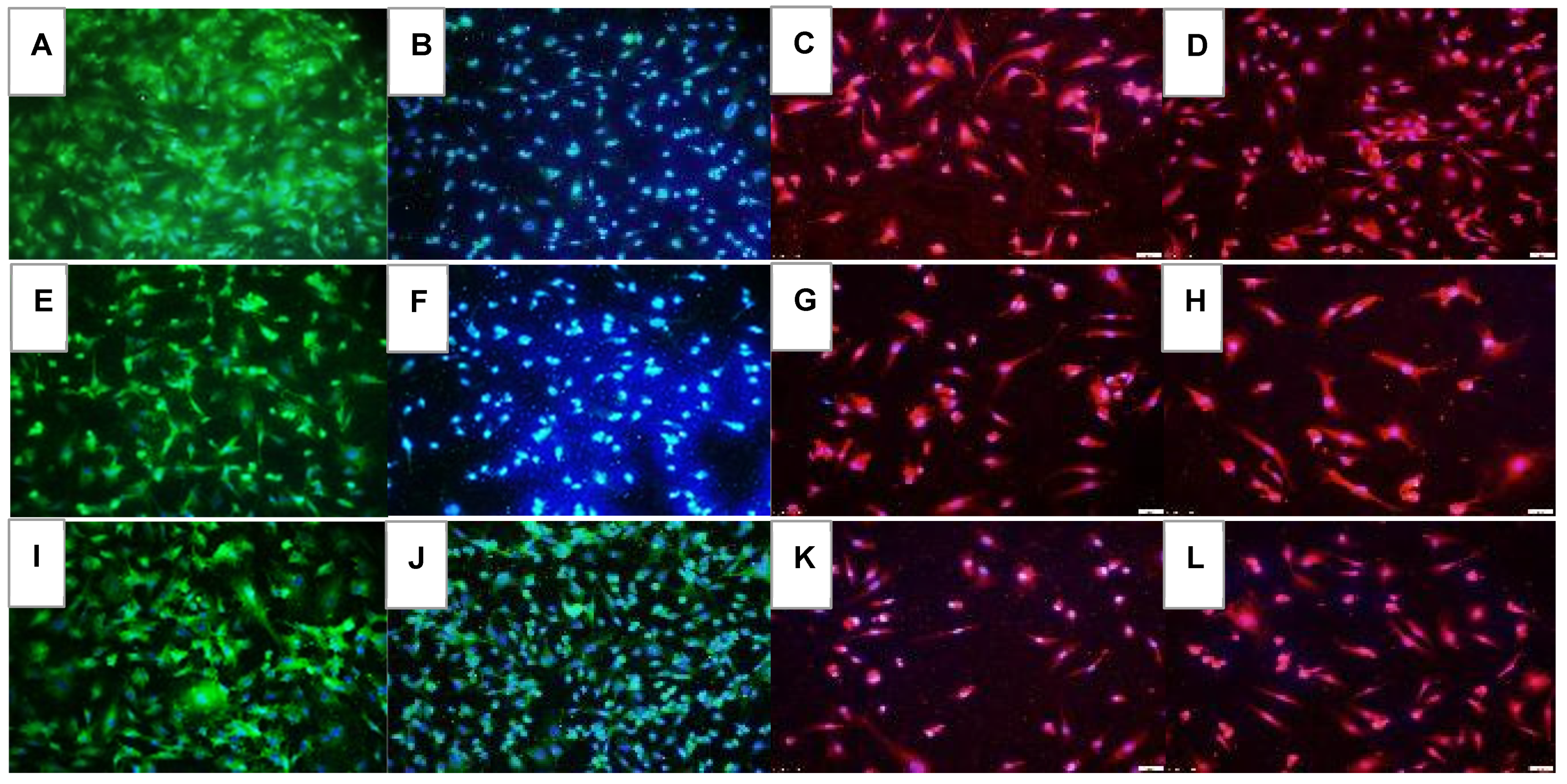 Pharmaceuticals 16 00939 g013 Pharmaceuticals 16 00939 g013
