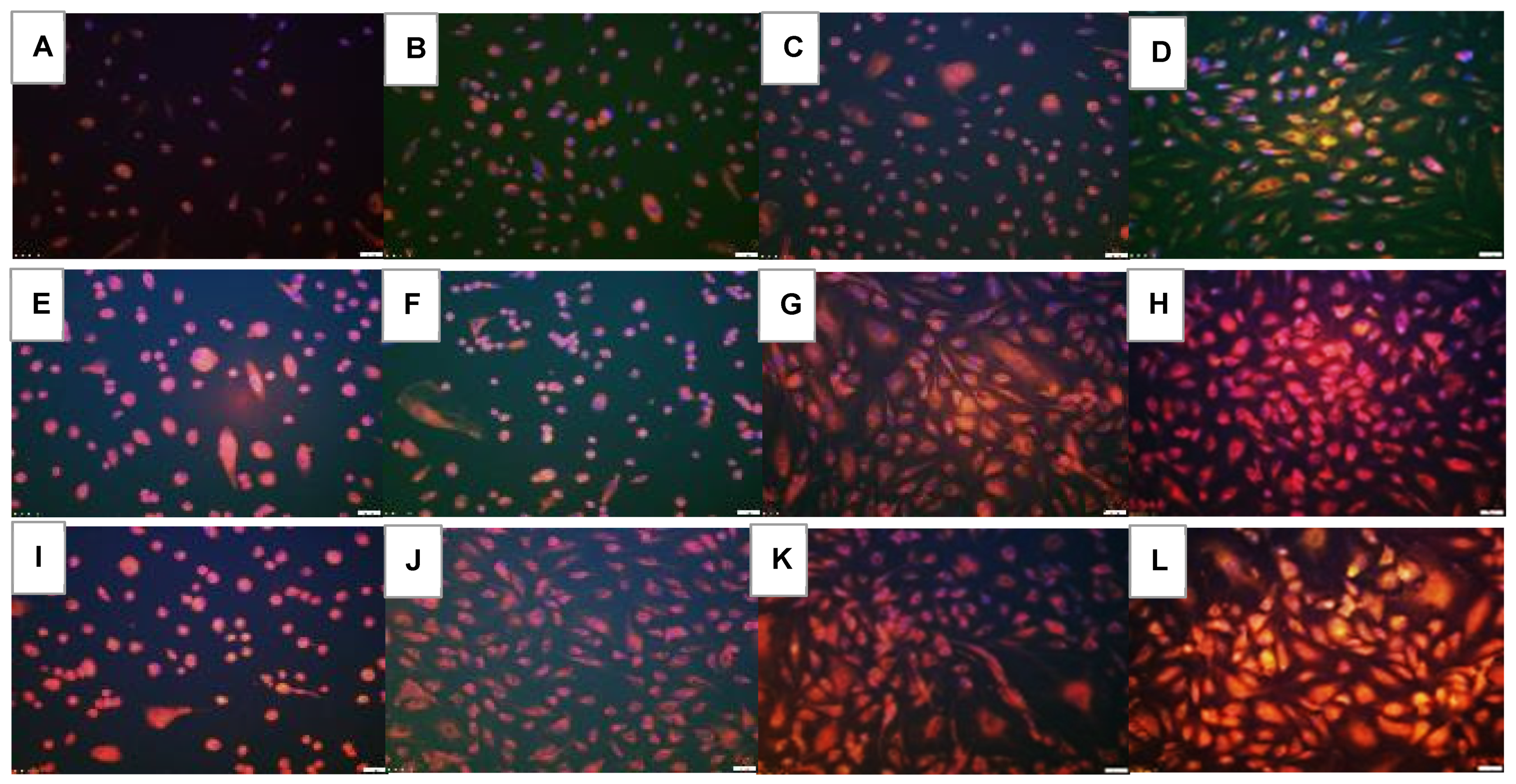 Pharmaceuticals 16 00939 g014 Pharmaceuticals 16 00939 g014