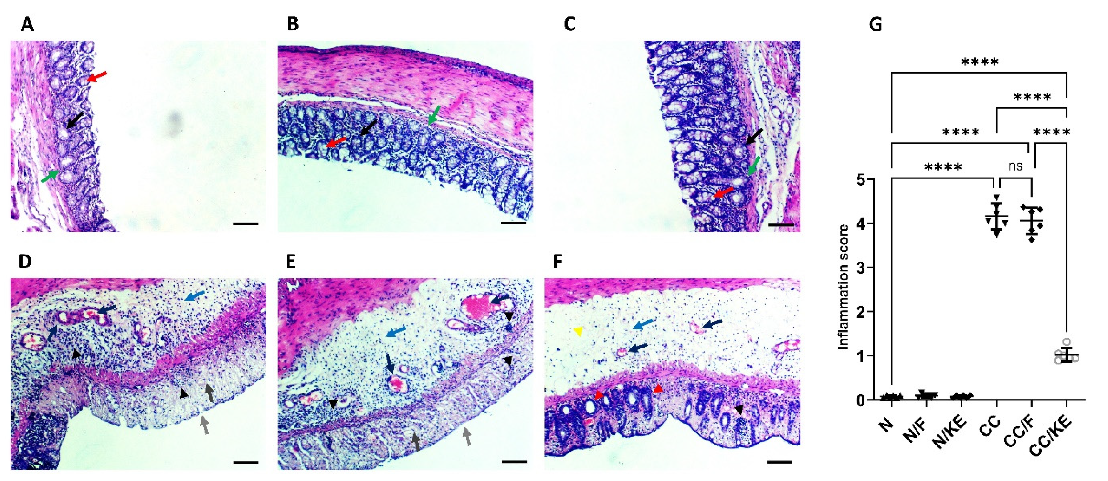 Pharmaceuticals 16 00953 g001