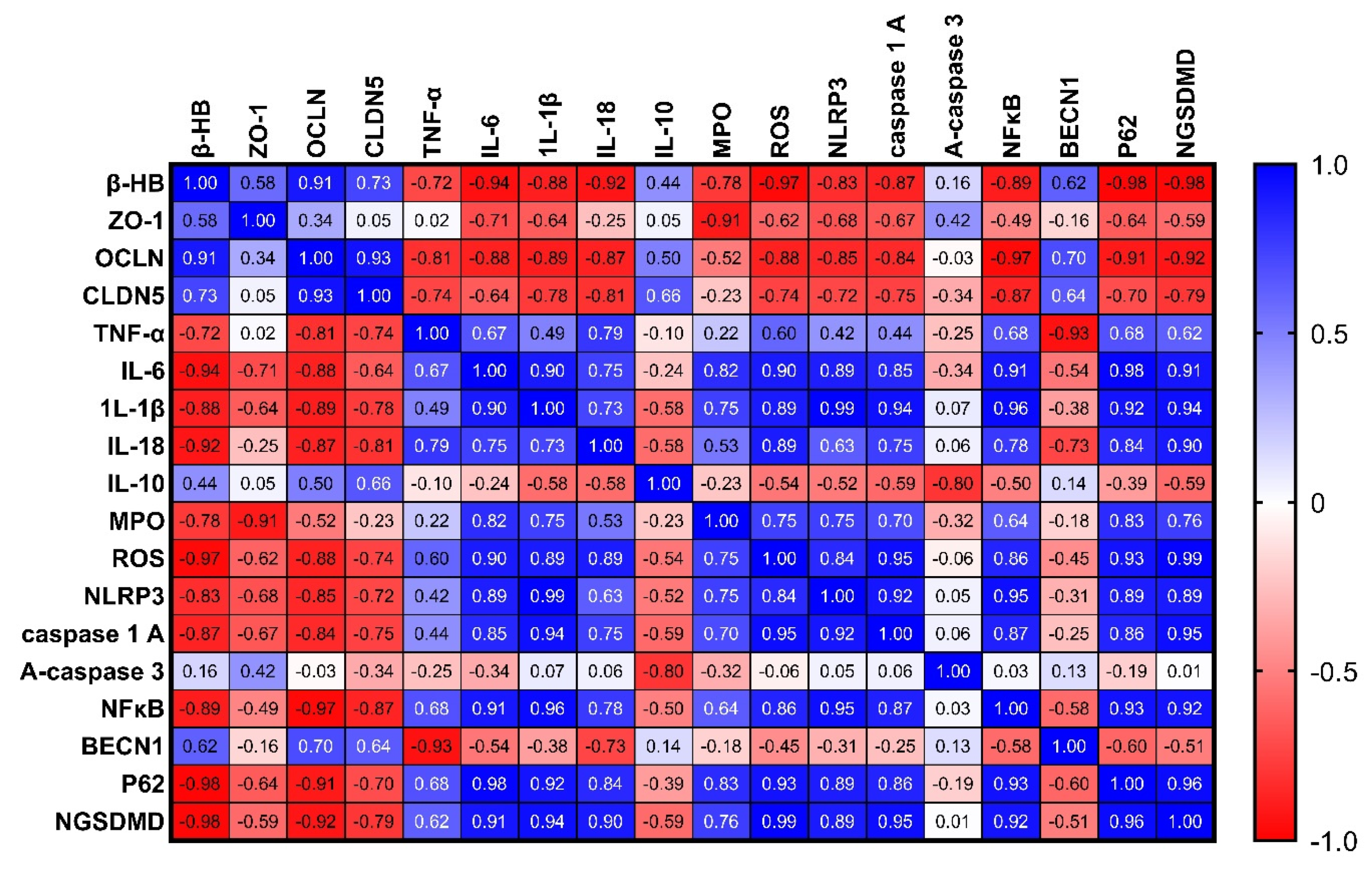 Pharmaceuticals 16 00953 g013