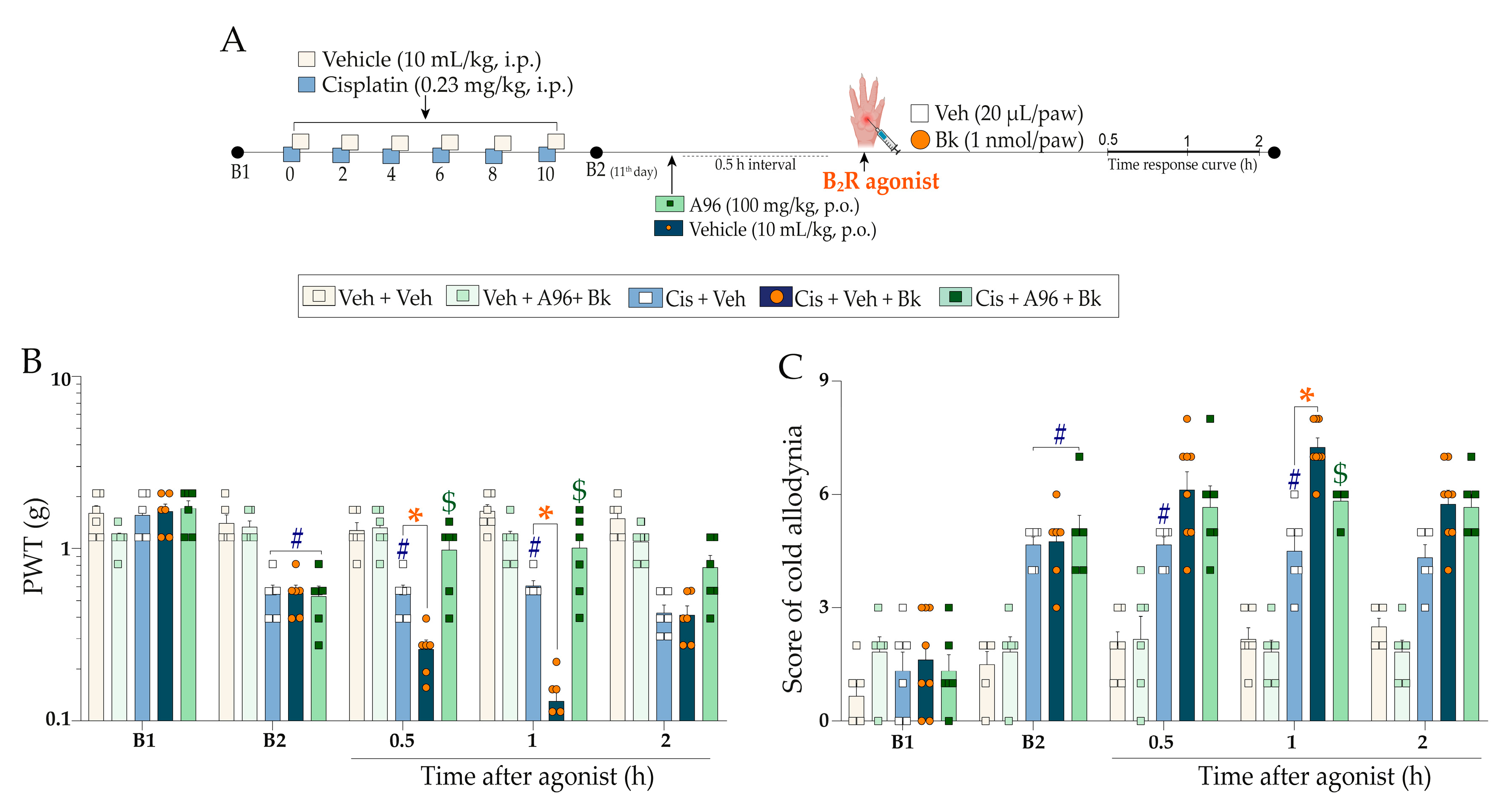 Pharmaceuticals 16 00959 g005