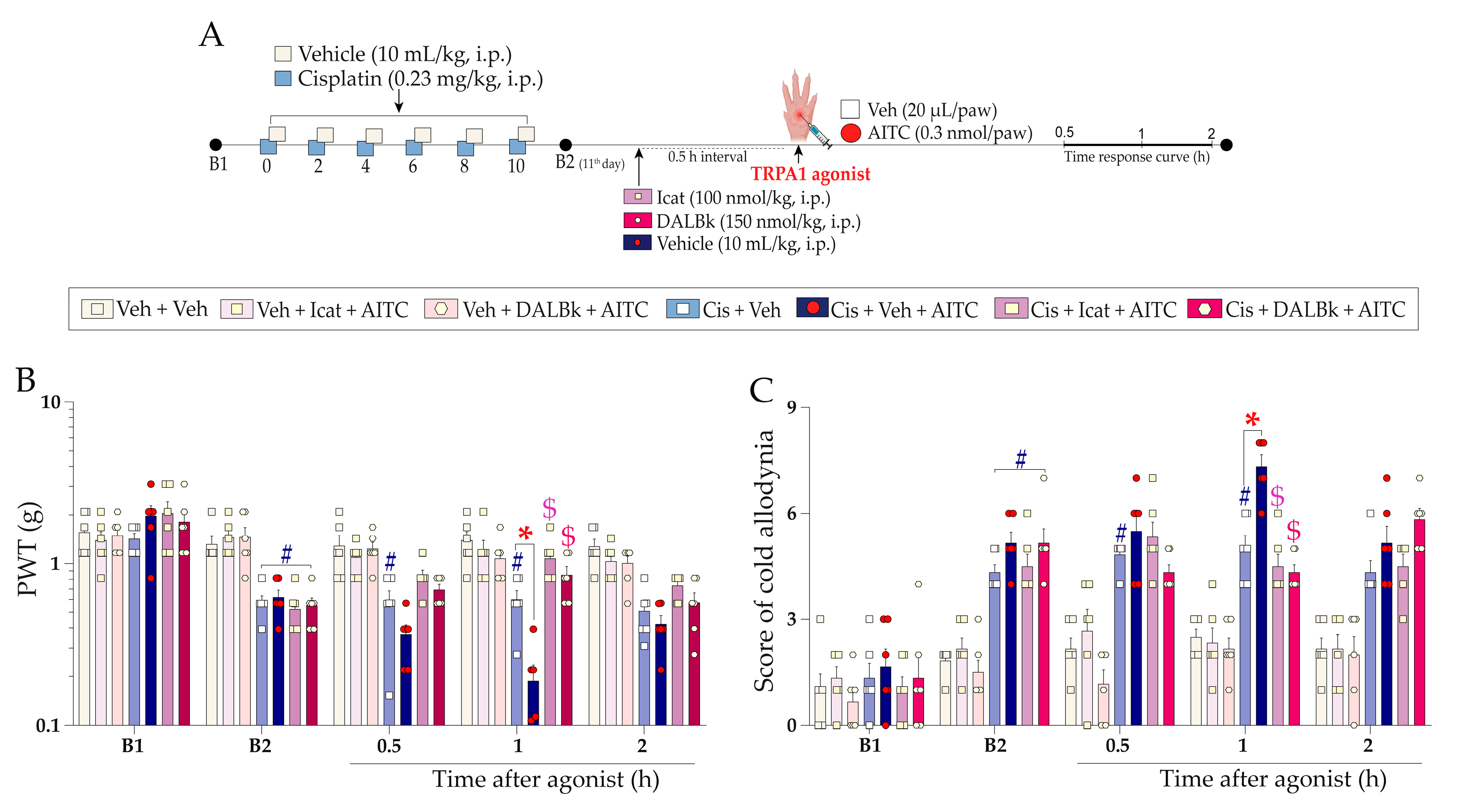 Pharmaceuticals 16 00959 g006
