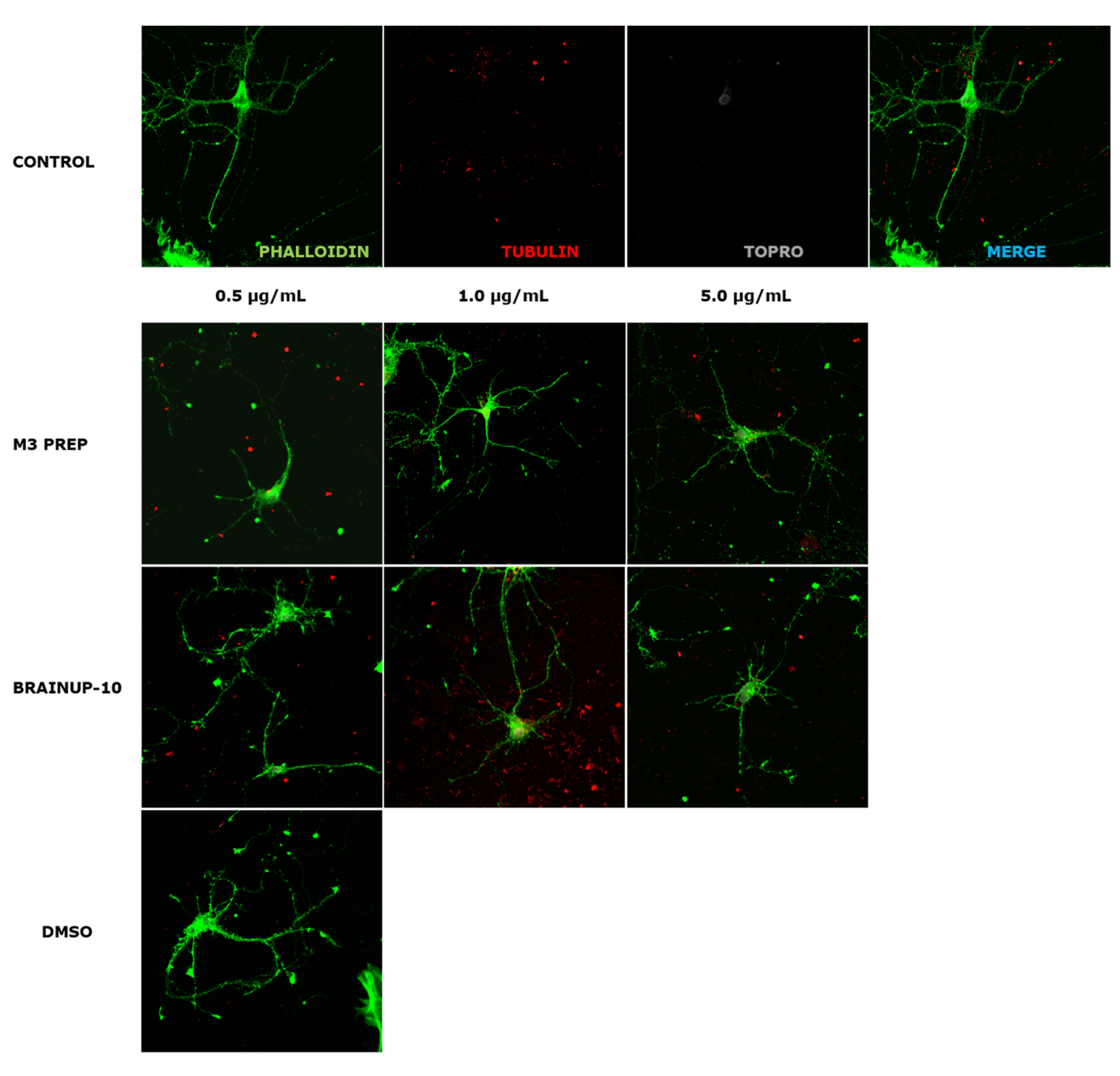 Pharmaceuticals 16 00960 g008
