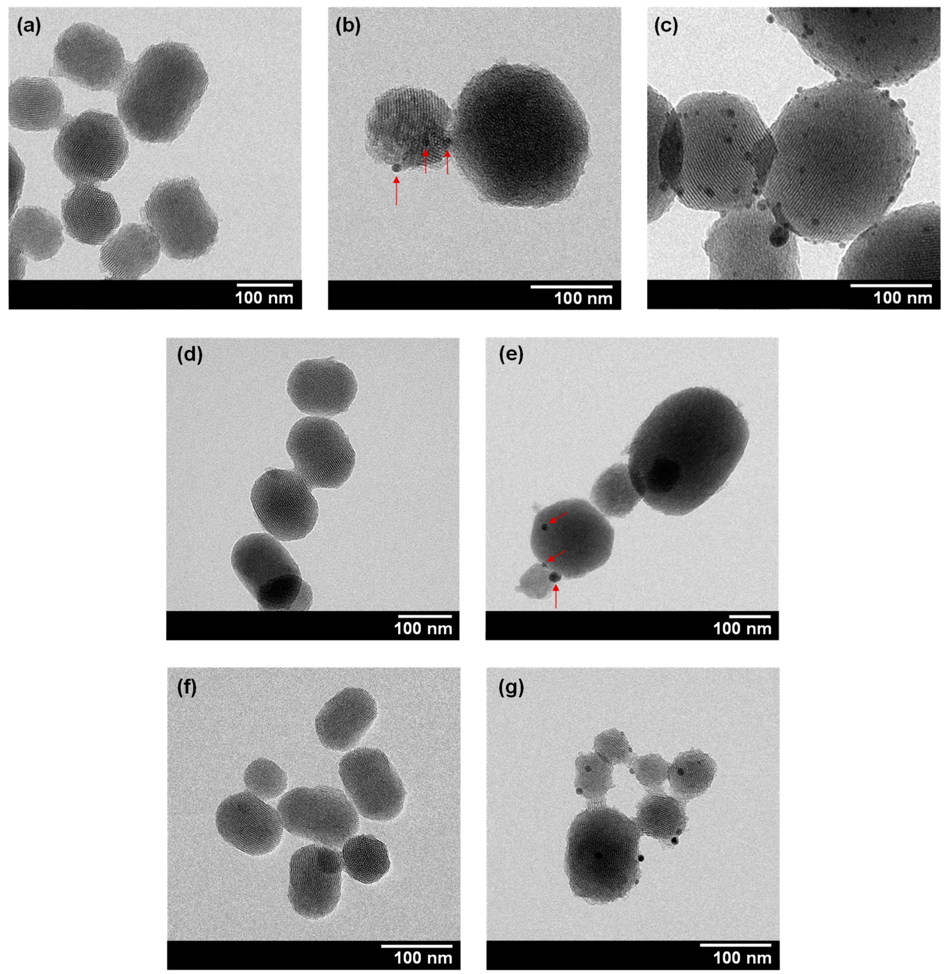 Pharmaceuticals 16 00961 g001