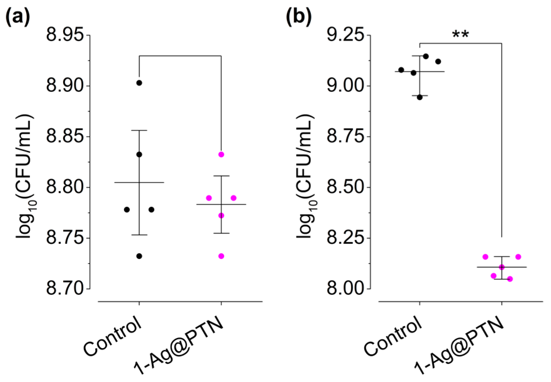 Pharmaceuticals 16 00961 g004