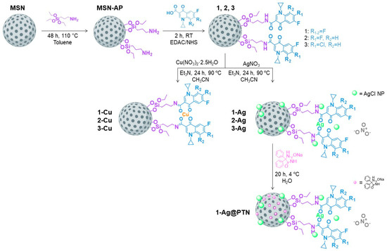 Pharmaceuticals 16 00961 sch001