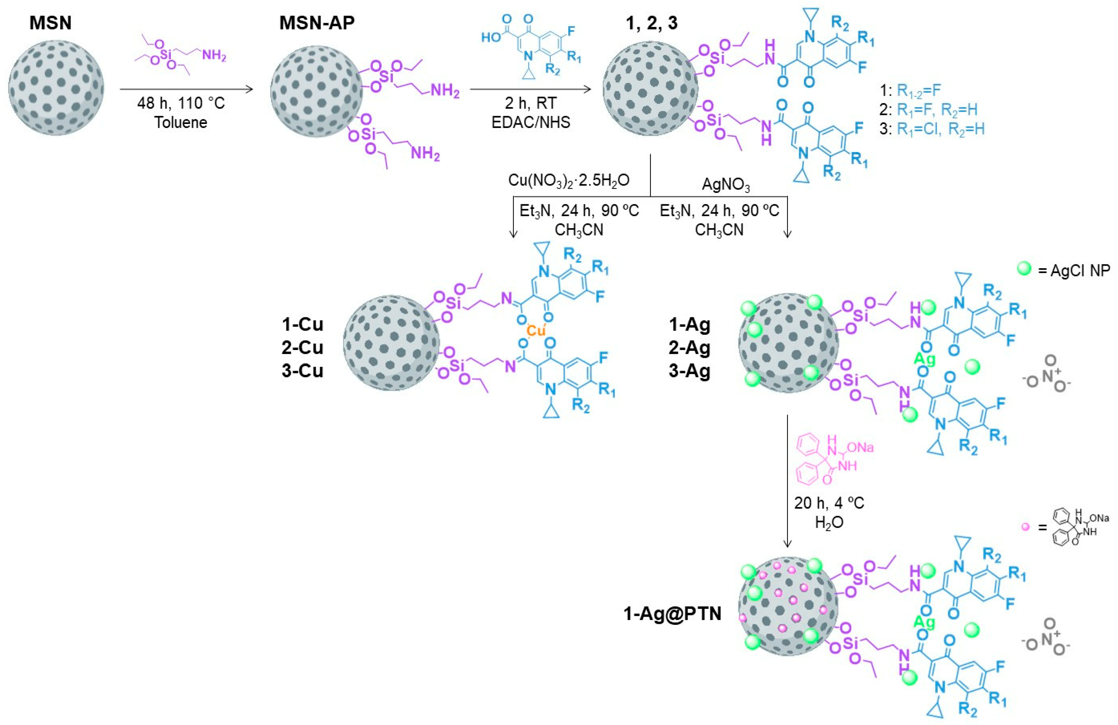 Pharmaceuticals 16 00961 sch001