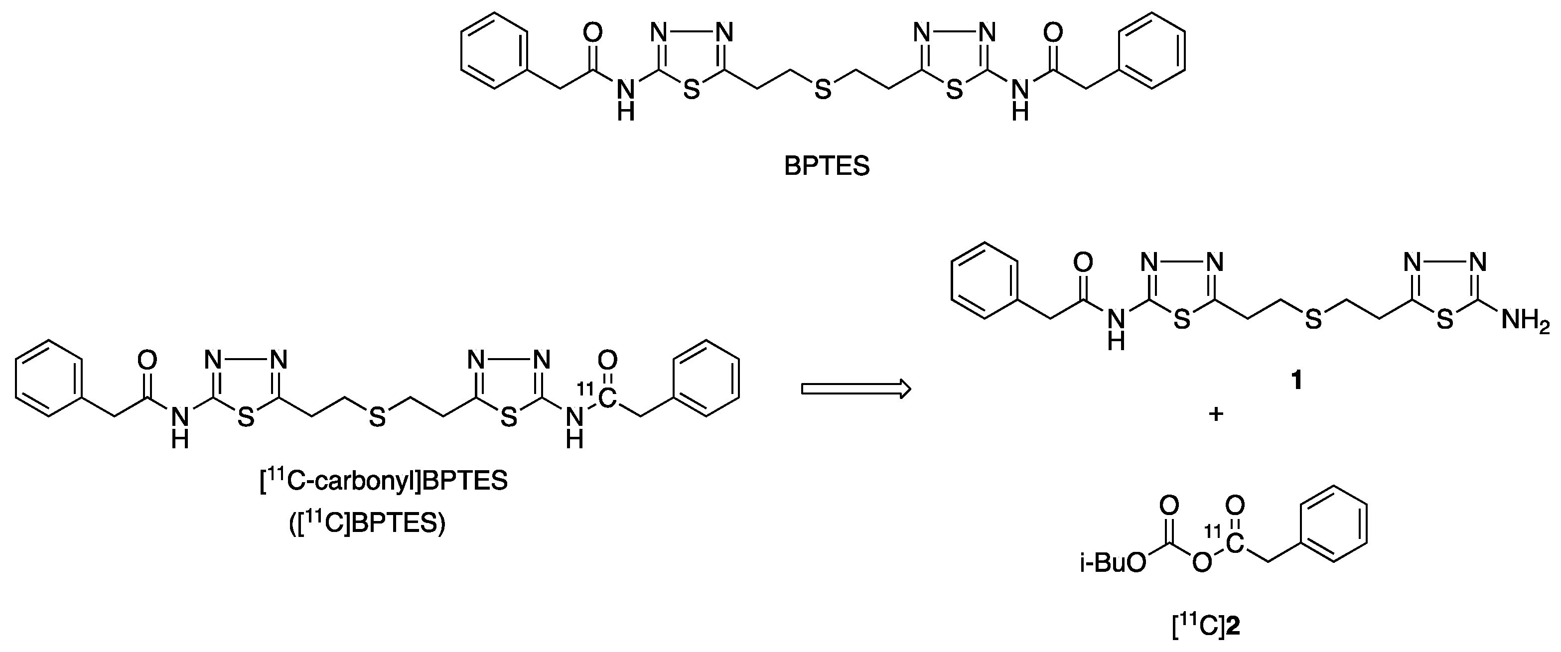 Pharmaceuticals 16 00963 g001