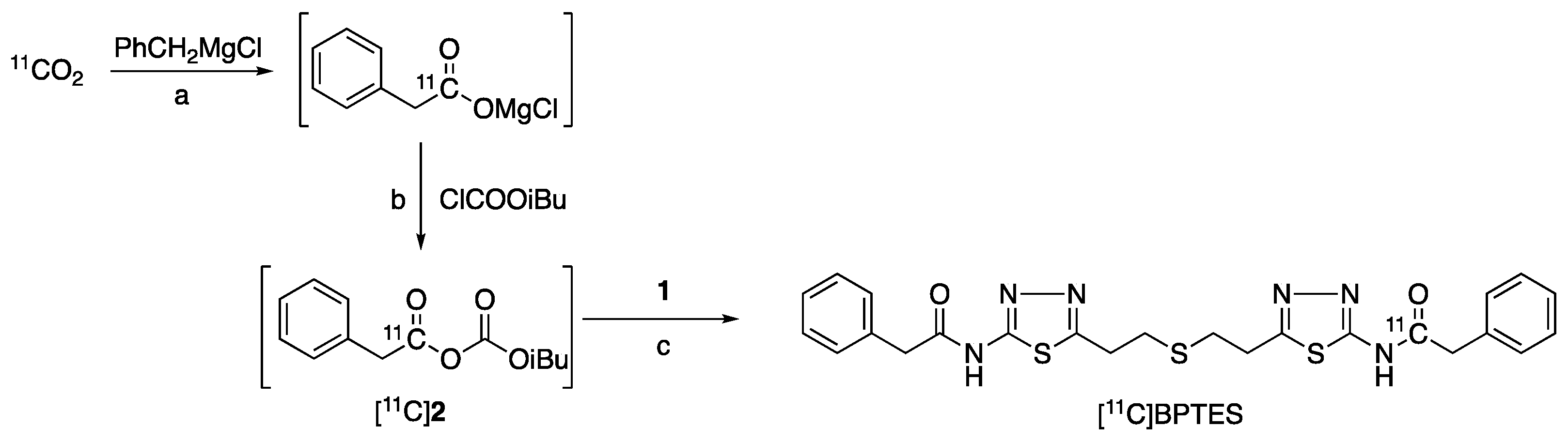 Pharmaceuticals 16 00963 g003