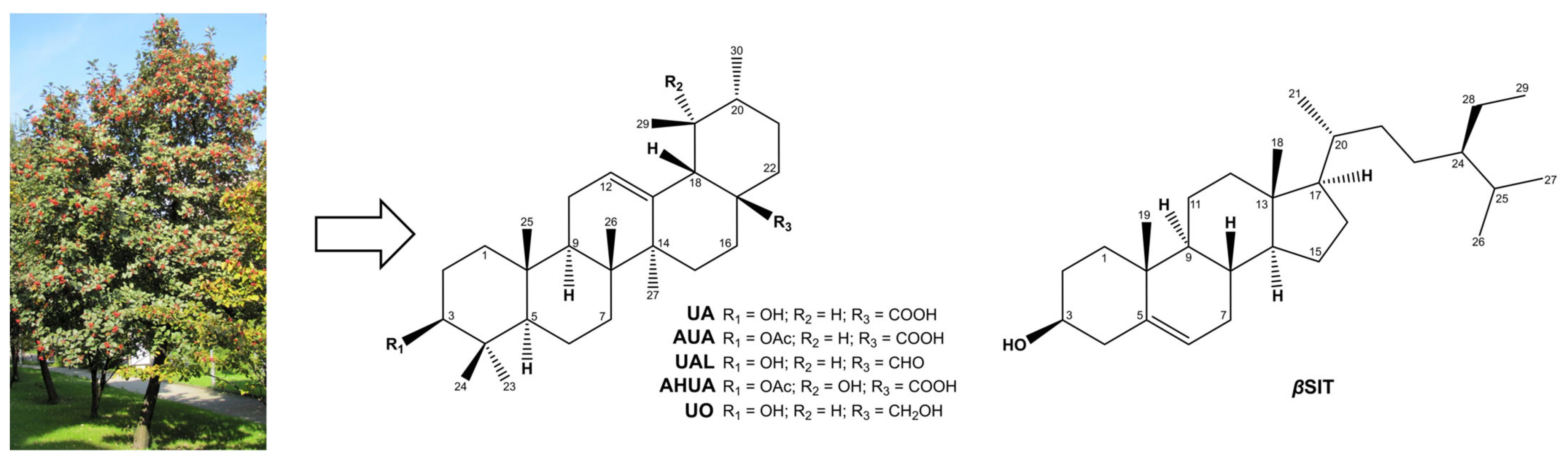 Pharmaceuticals 16 00965 g001