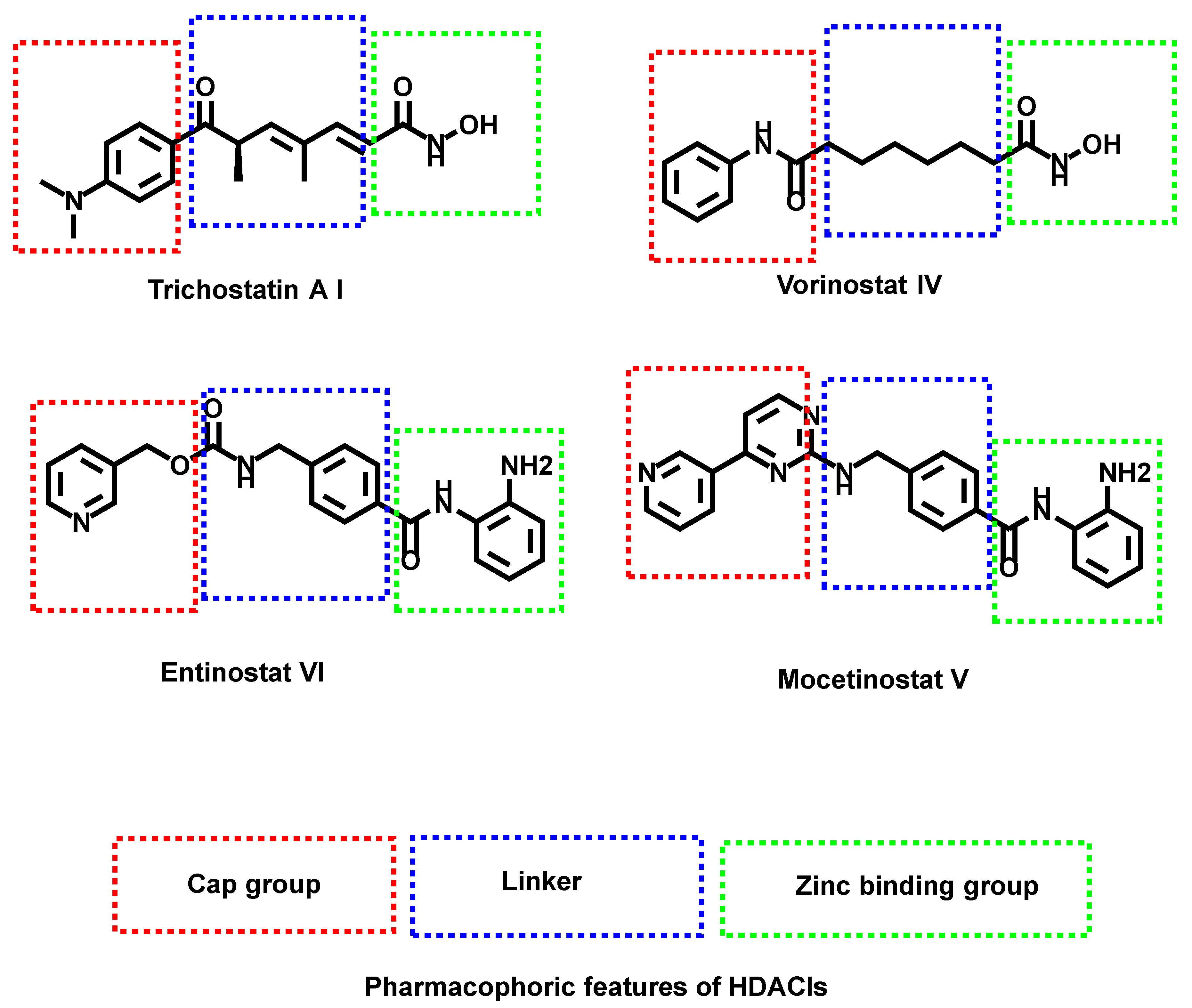Pharmaceuticals 16 00966 g001