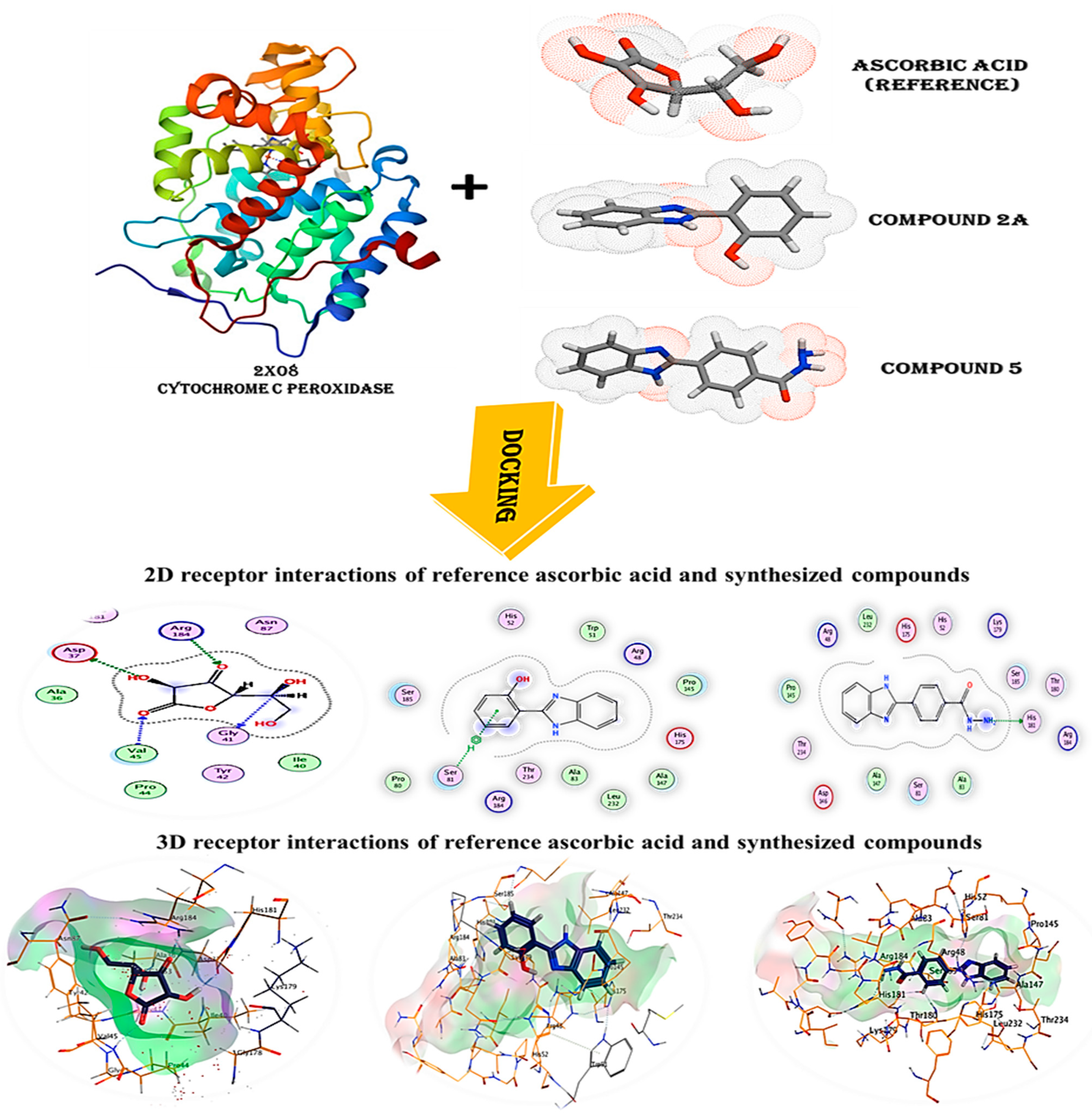 Pharmaceuticals 16 00969 g006 Pharmaceuticals 16 00969 g006