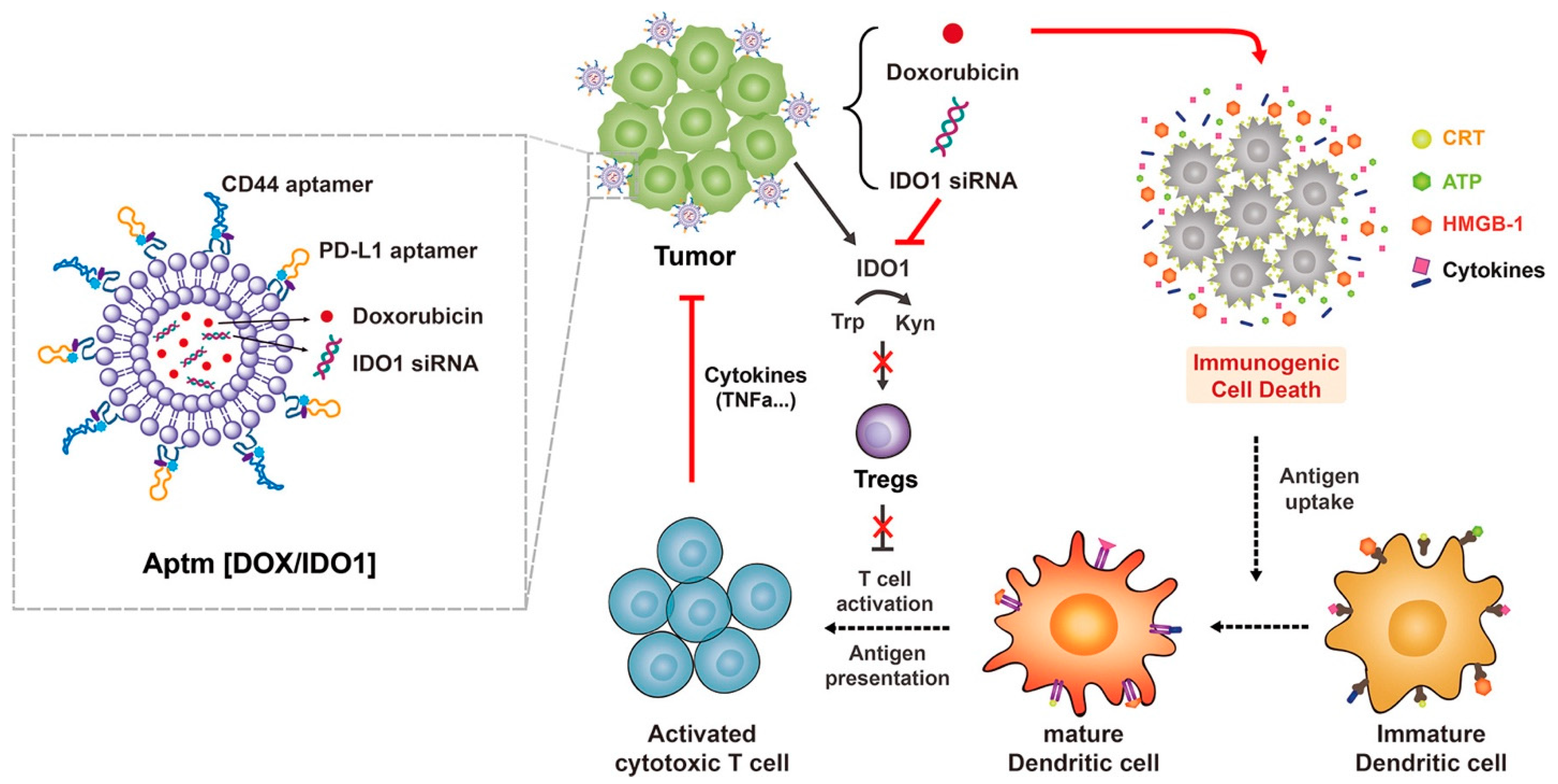 Pharmaceuticals 16 00970 g003 Pharmaceuticals 16 00970 g003