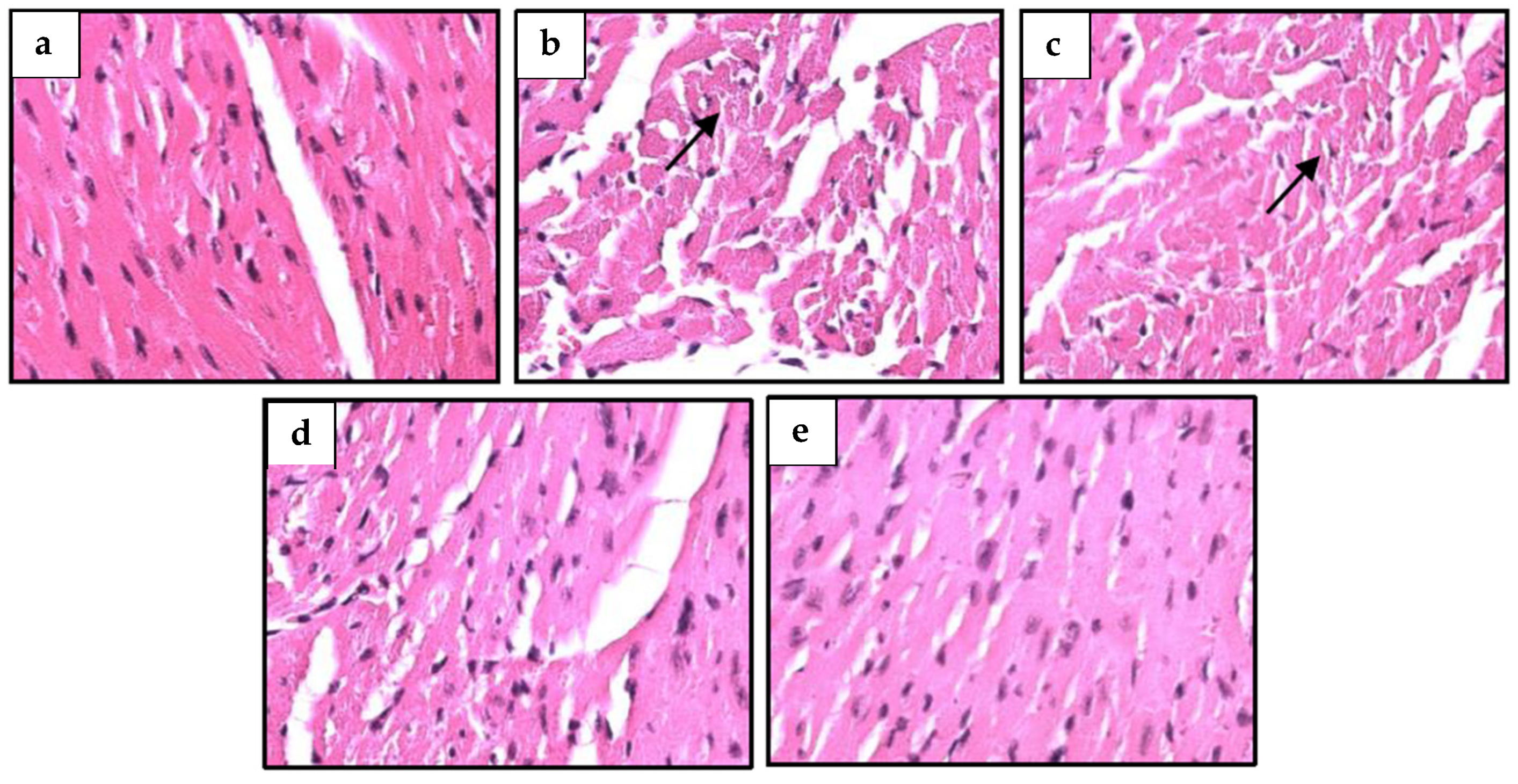 Pharmaceuticals 16 00973 g004 Pharmaceuticals 16 00973 g004