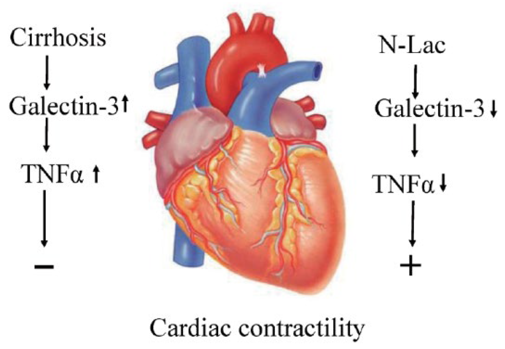 Pharmaceuticals 16 00978 g003