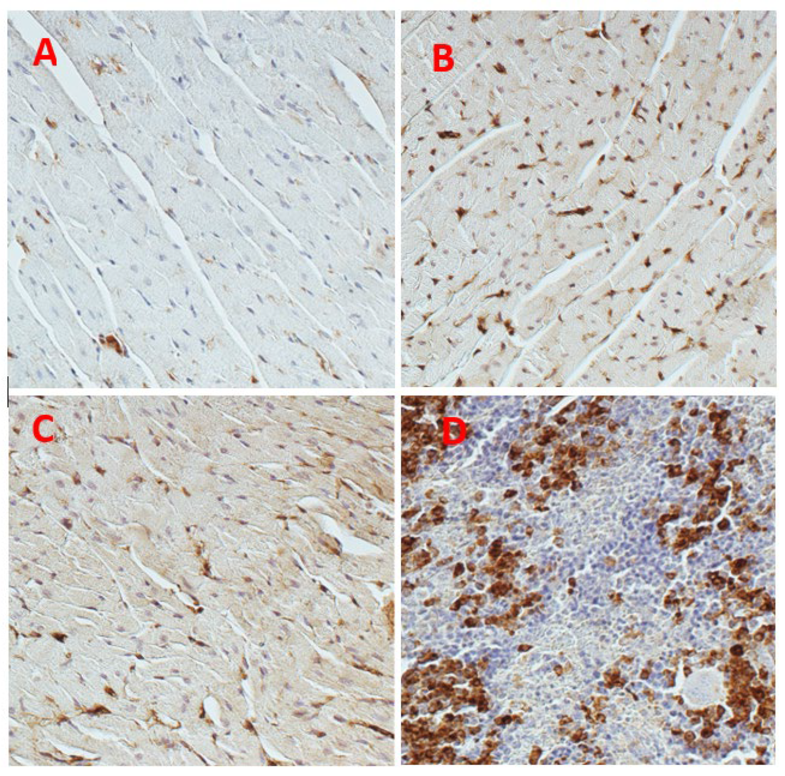 Pharmaceuticals 16 00978 g004