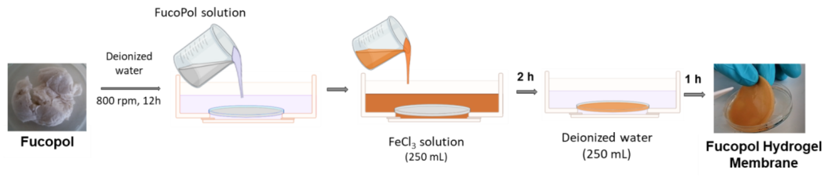 Pharmaceuticals 16 00991 g015 Pharmaceuticals 16 00991 g015