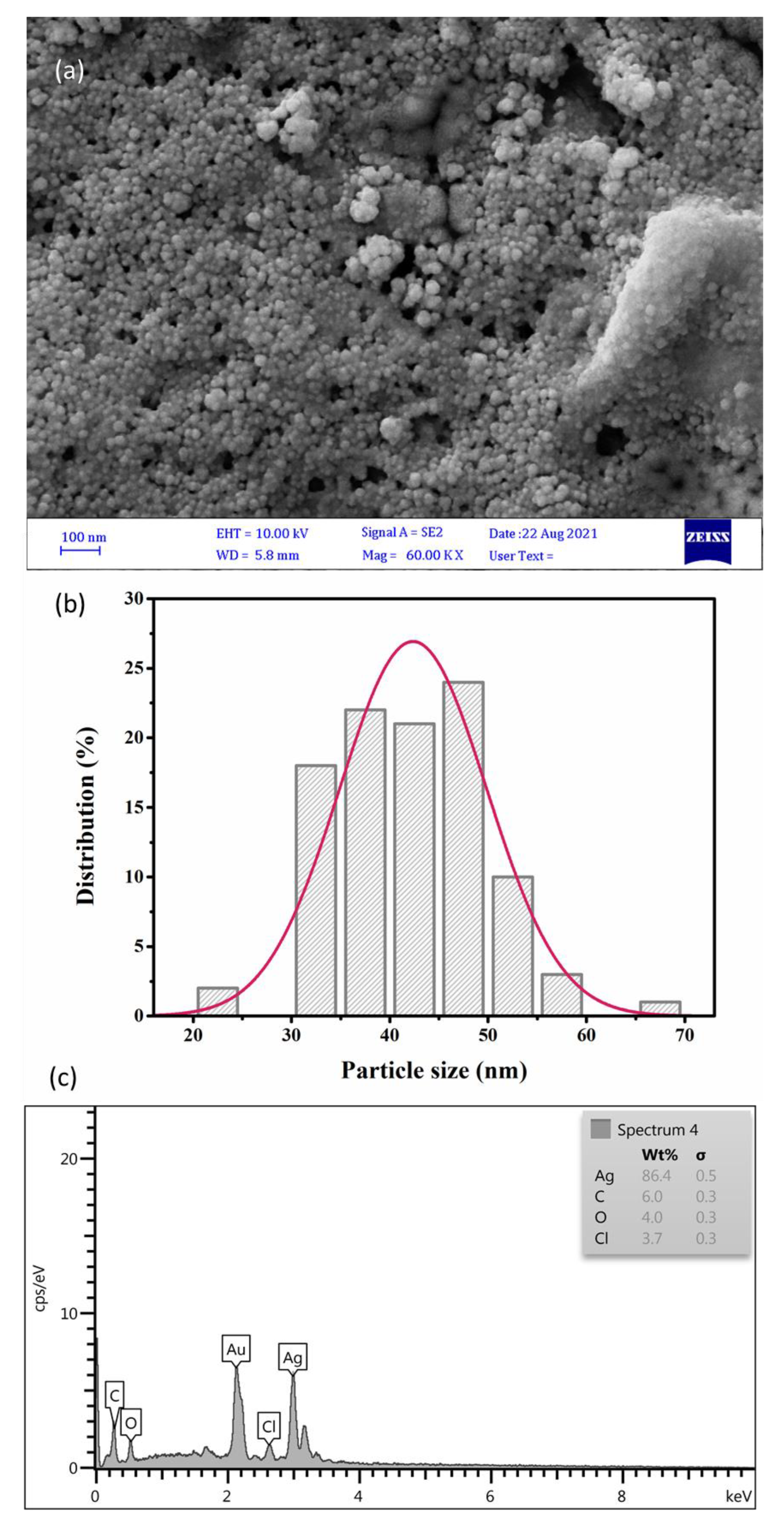 Pharmaceuticals 16 00992 g003