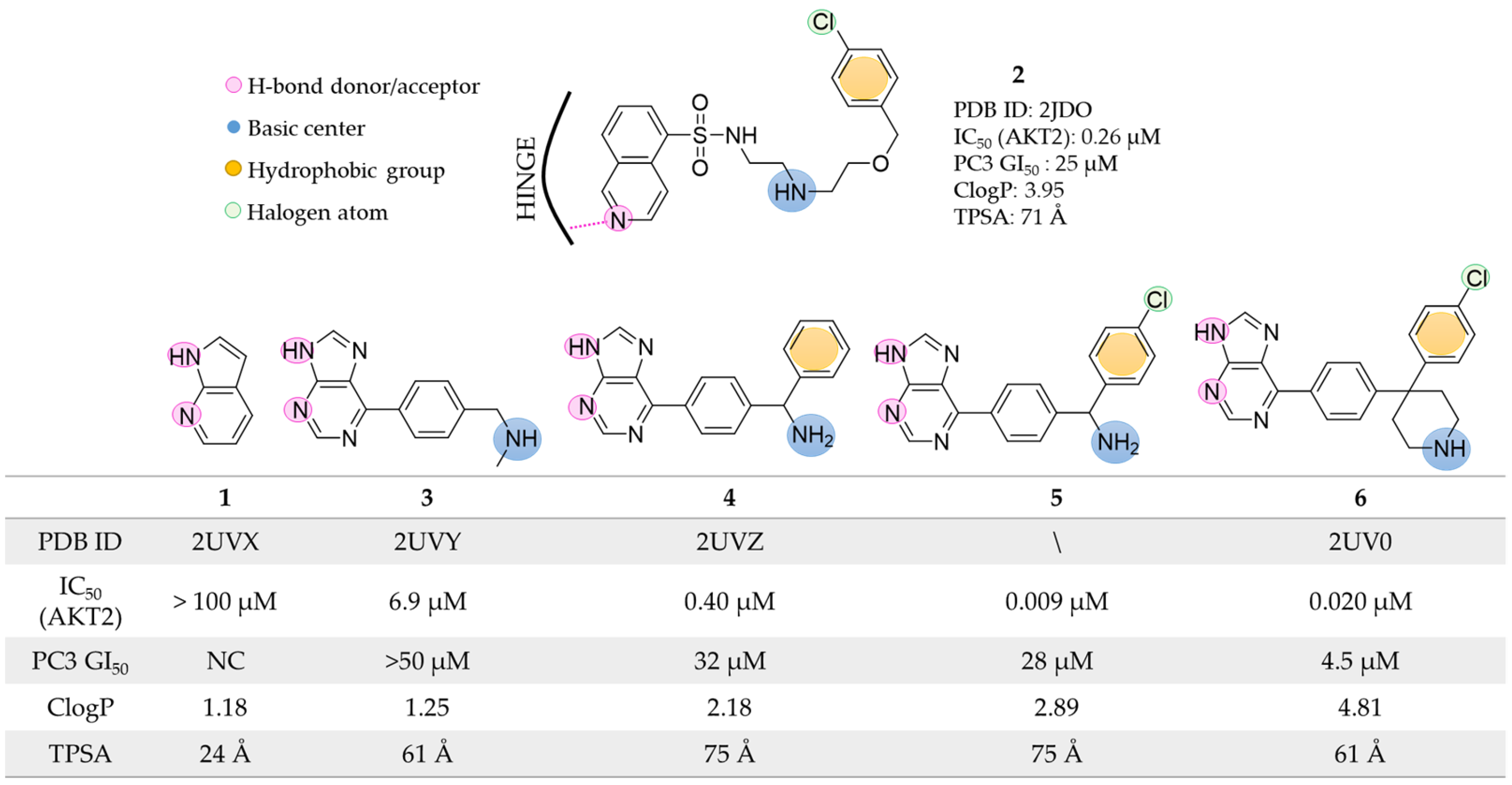 Pharmaceuticals 16 00993 g003