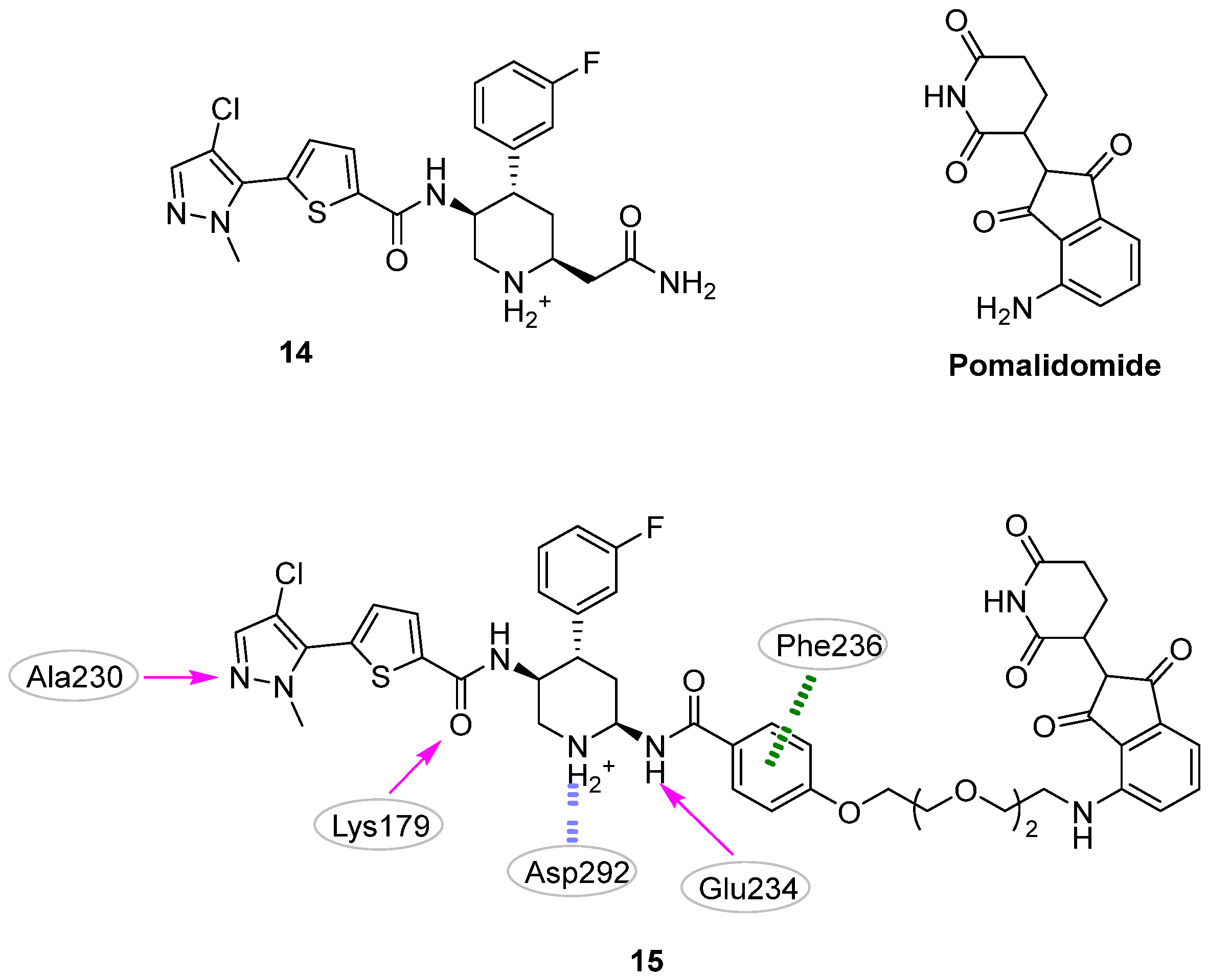 Pharmaceuticals 16 00993 g007