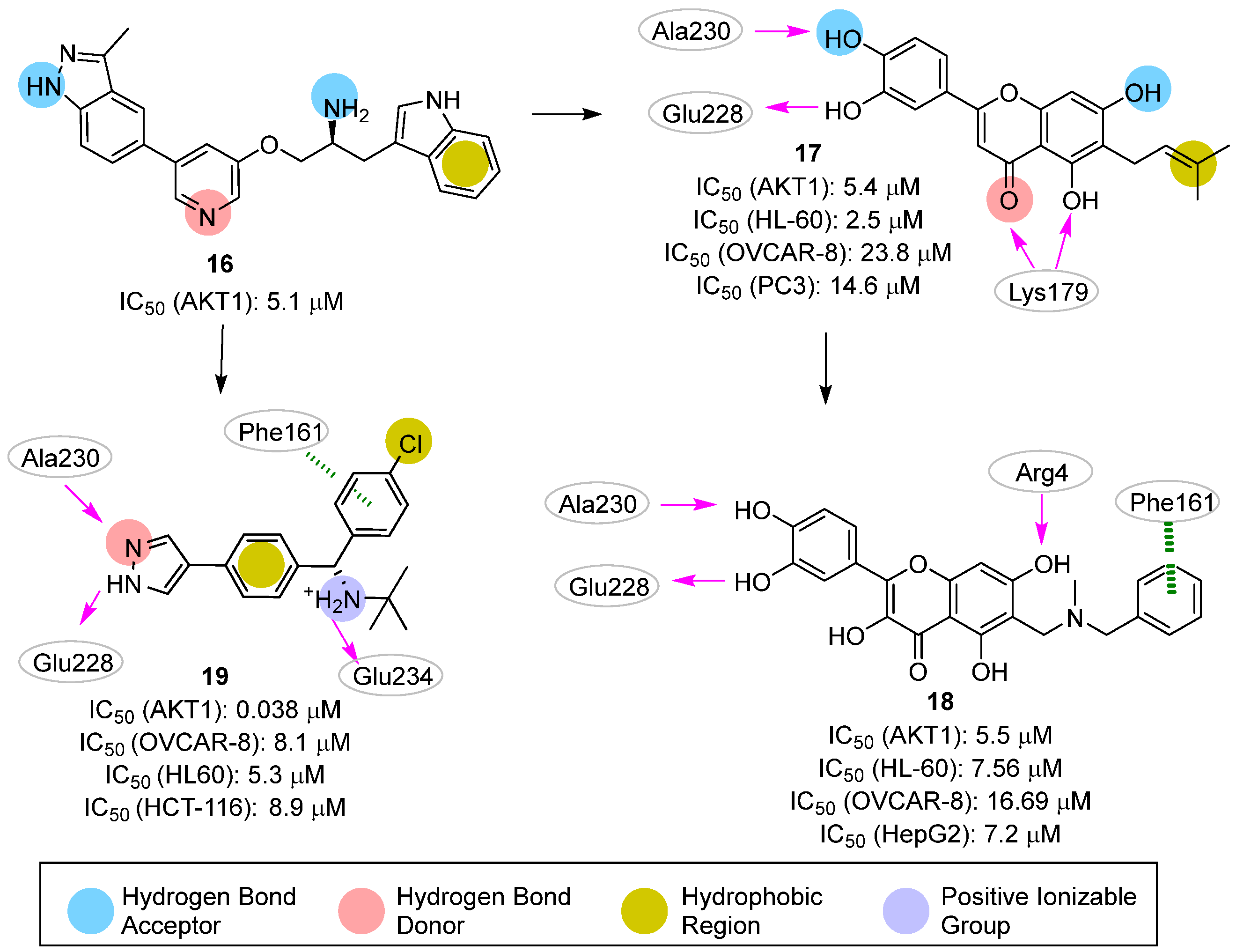 Pharmaceuticals 16 00993 g008