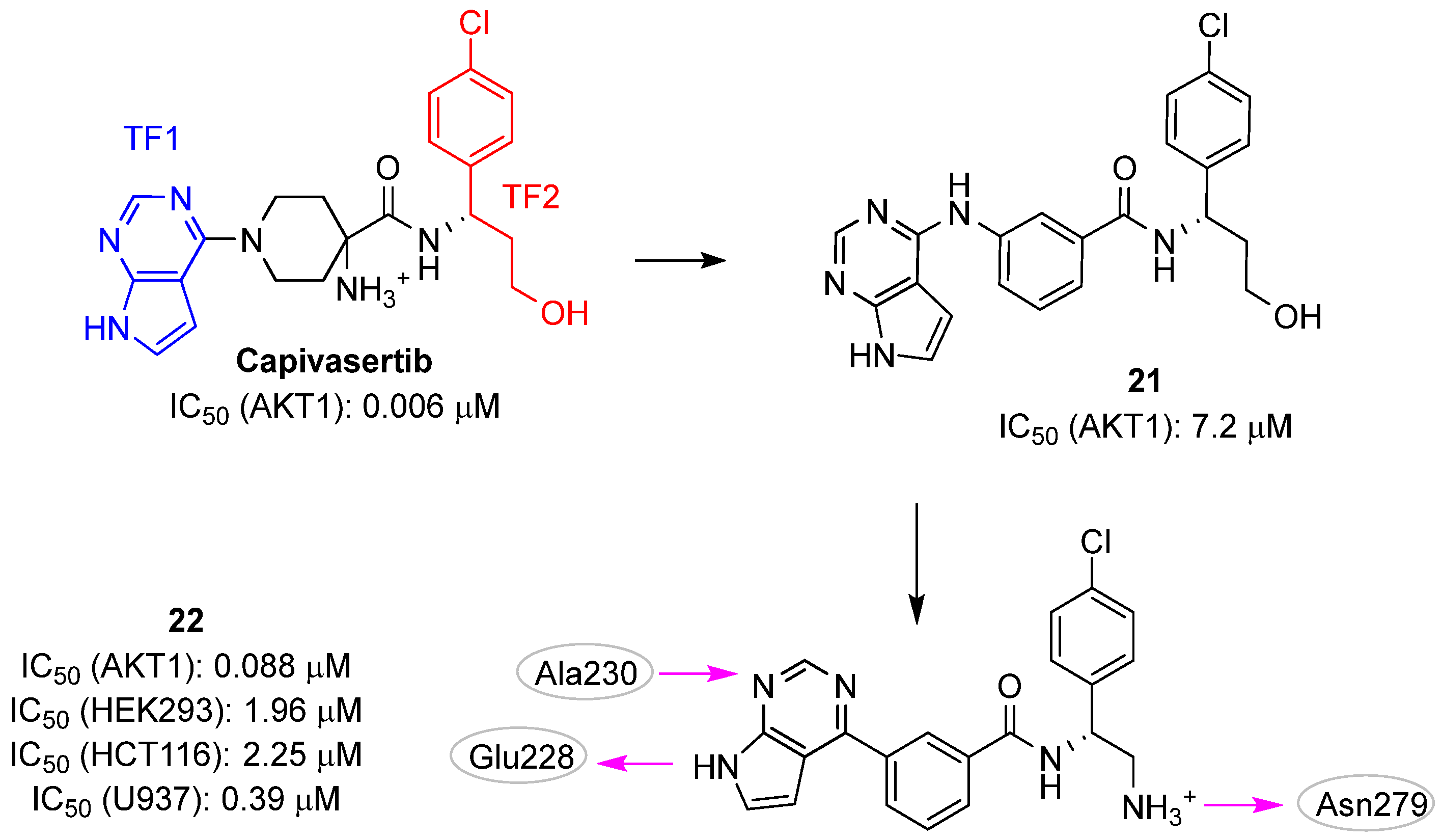 Pharmaceuticals 16 00993 g010