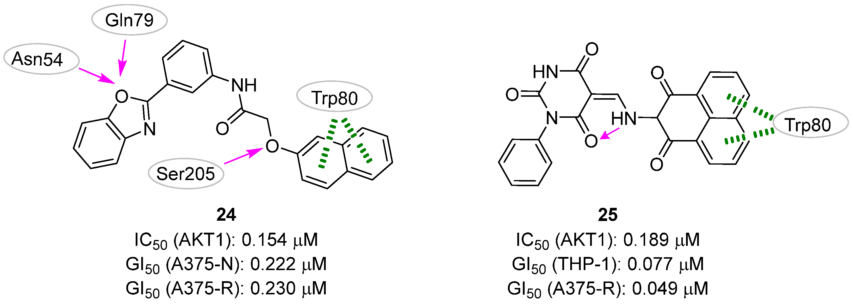Pharmaceuticals 16 00993 g012