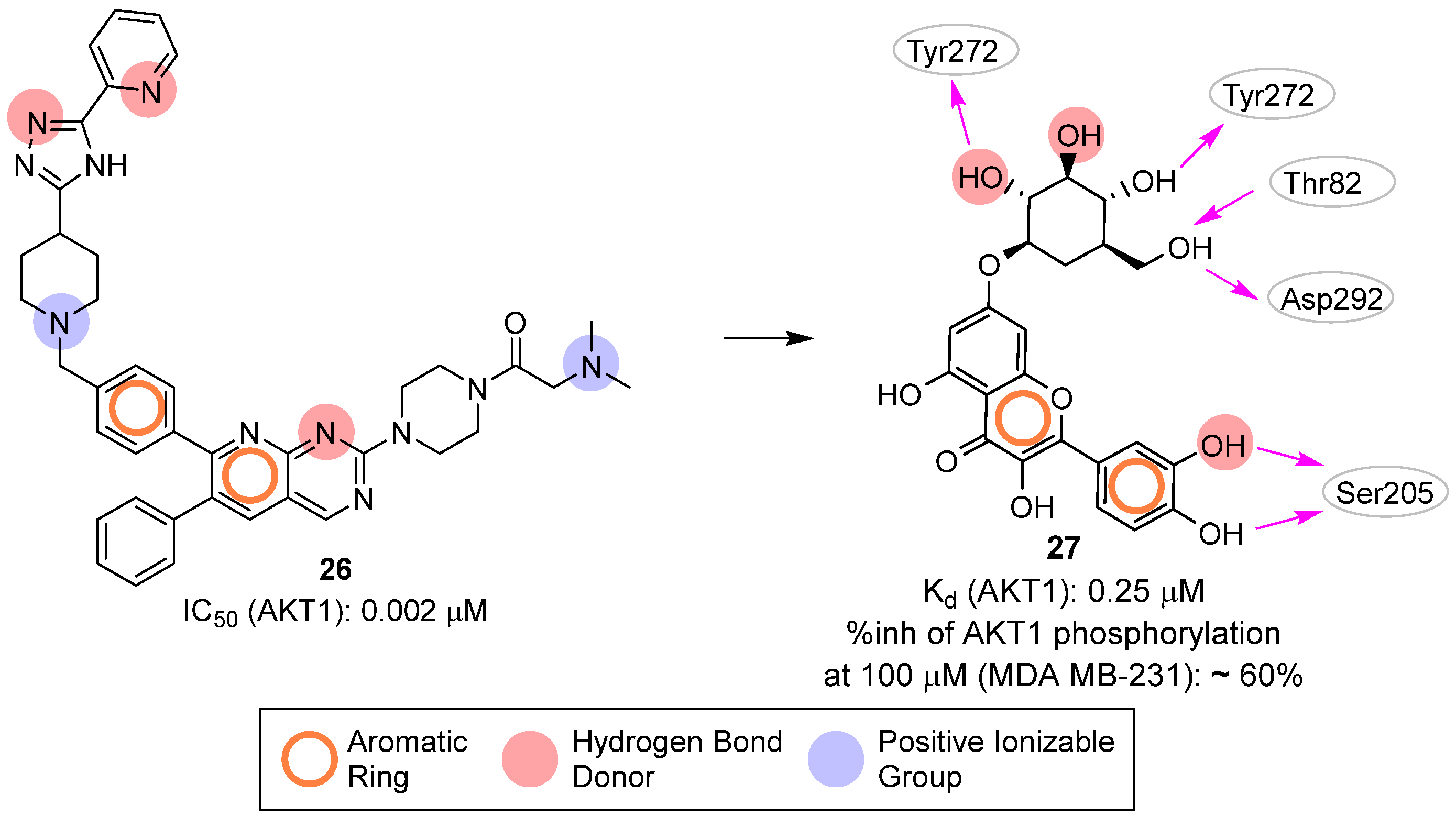 Pharmaceuticals 16 00993 g013