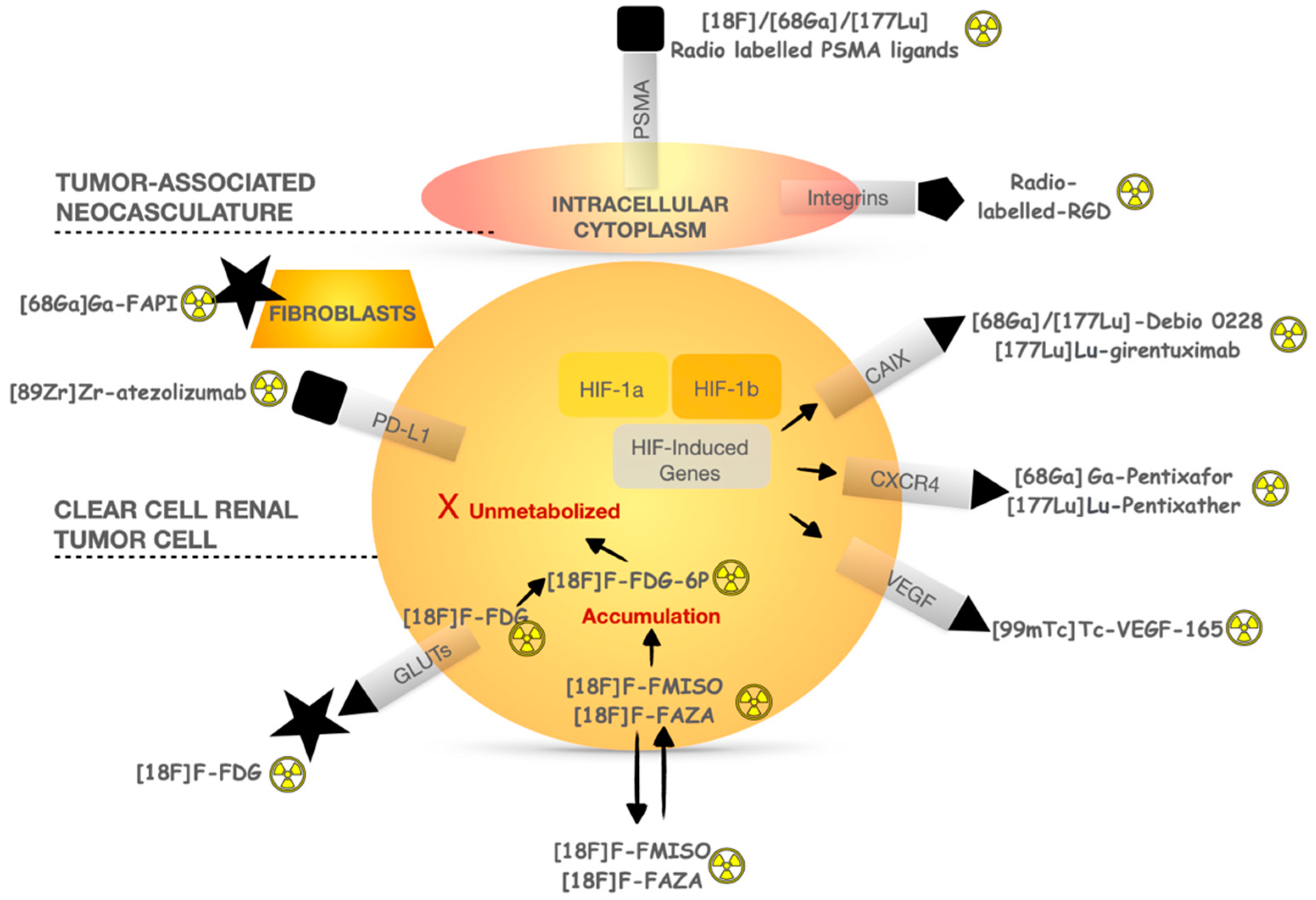 Pharmaceuticals 16 00995 g002