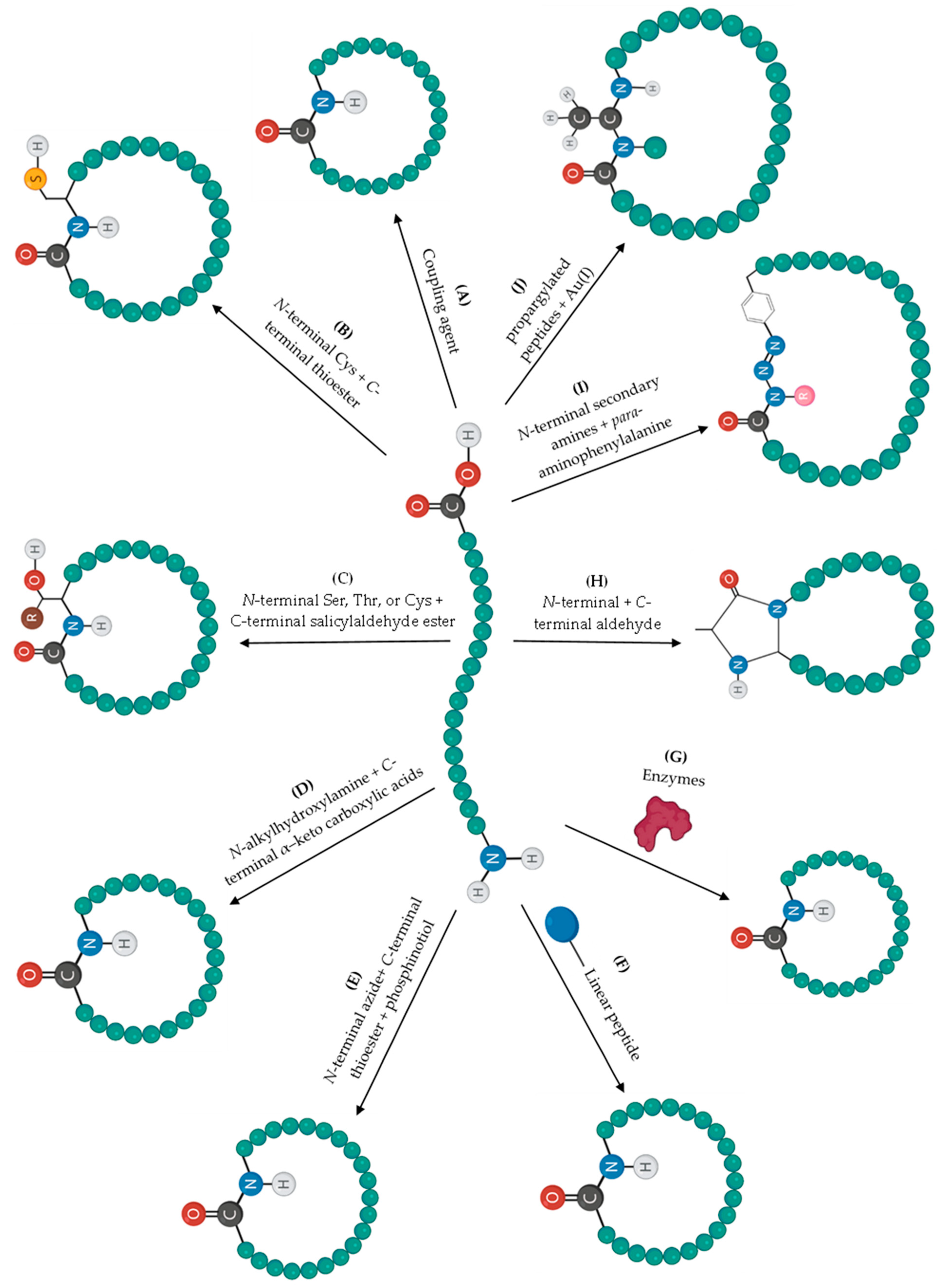 Pharmaceuticals 16 00996 g003